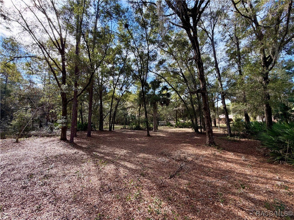 Crystal River, Florida, 34428, United States, 3 Bedrooms Bedrooms, ,2 BathroomsBathrooms,Residential,For Sale,2006221