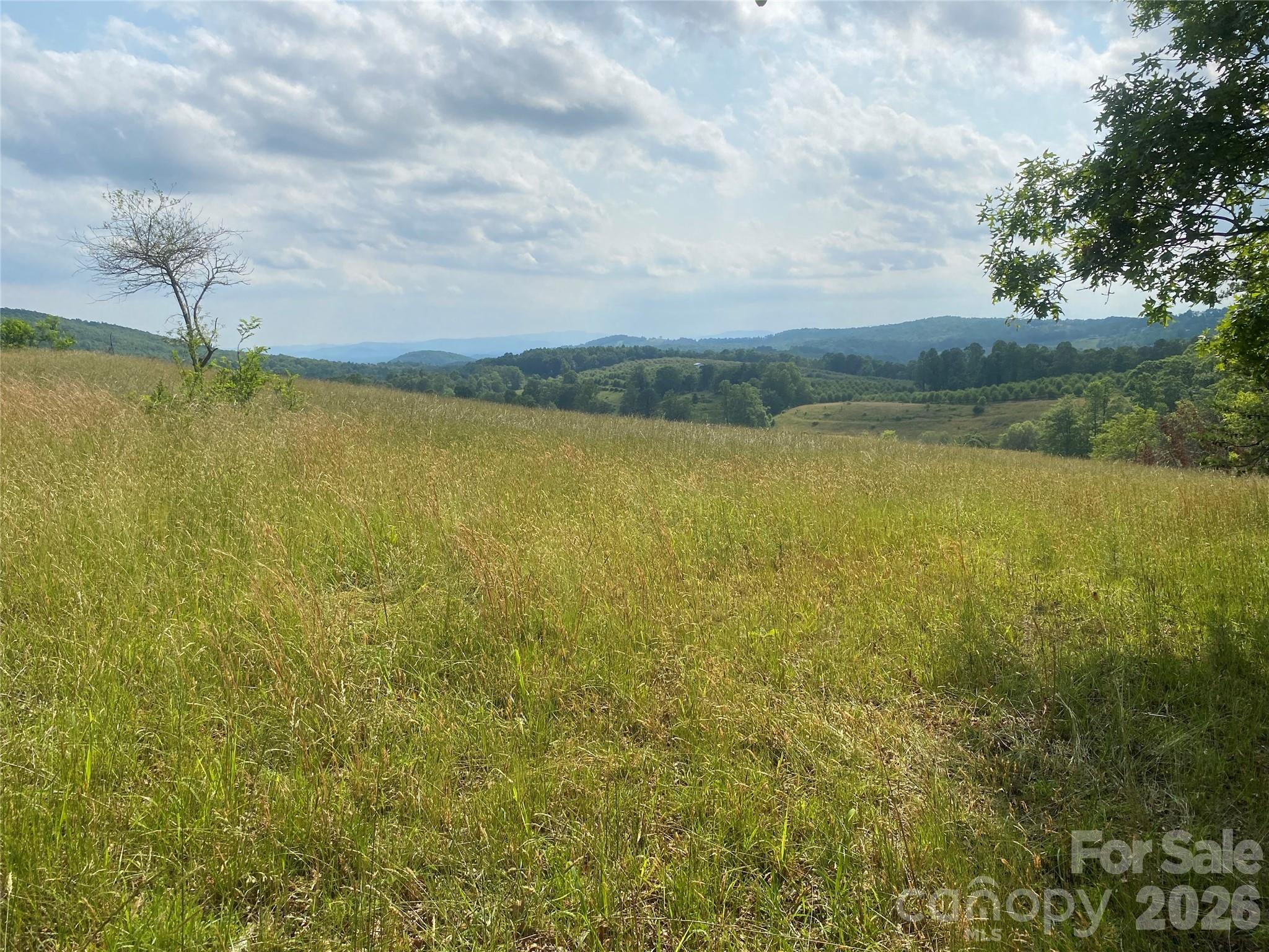 Hendersonville, North Carolina, 28792, United States, ,Land,For Sale,2010421