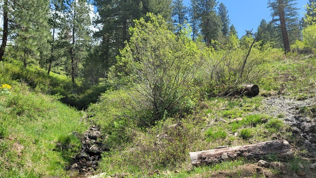 Council, Idaho, 83612, United States, 3 Bedrooms Bedrooms, ,2 BathroomsBathrooms,Residential,For Sale,1980798