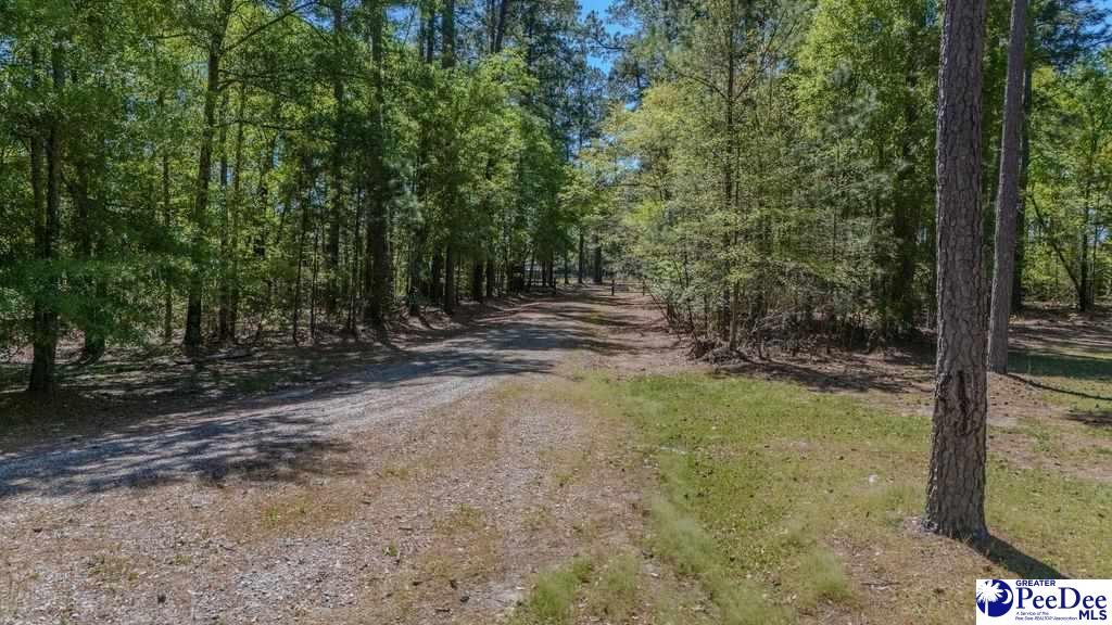 1315 Hill Harrell Road, Effingham, South Carolina, 29541-3179, United States, ,Land,For Sale,1315 Hill Harrell Road,1501598