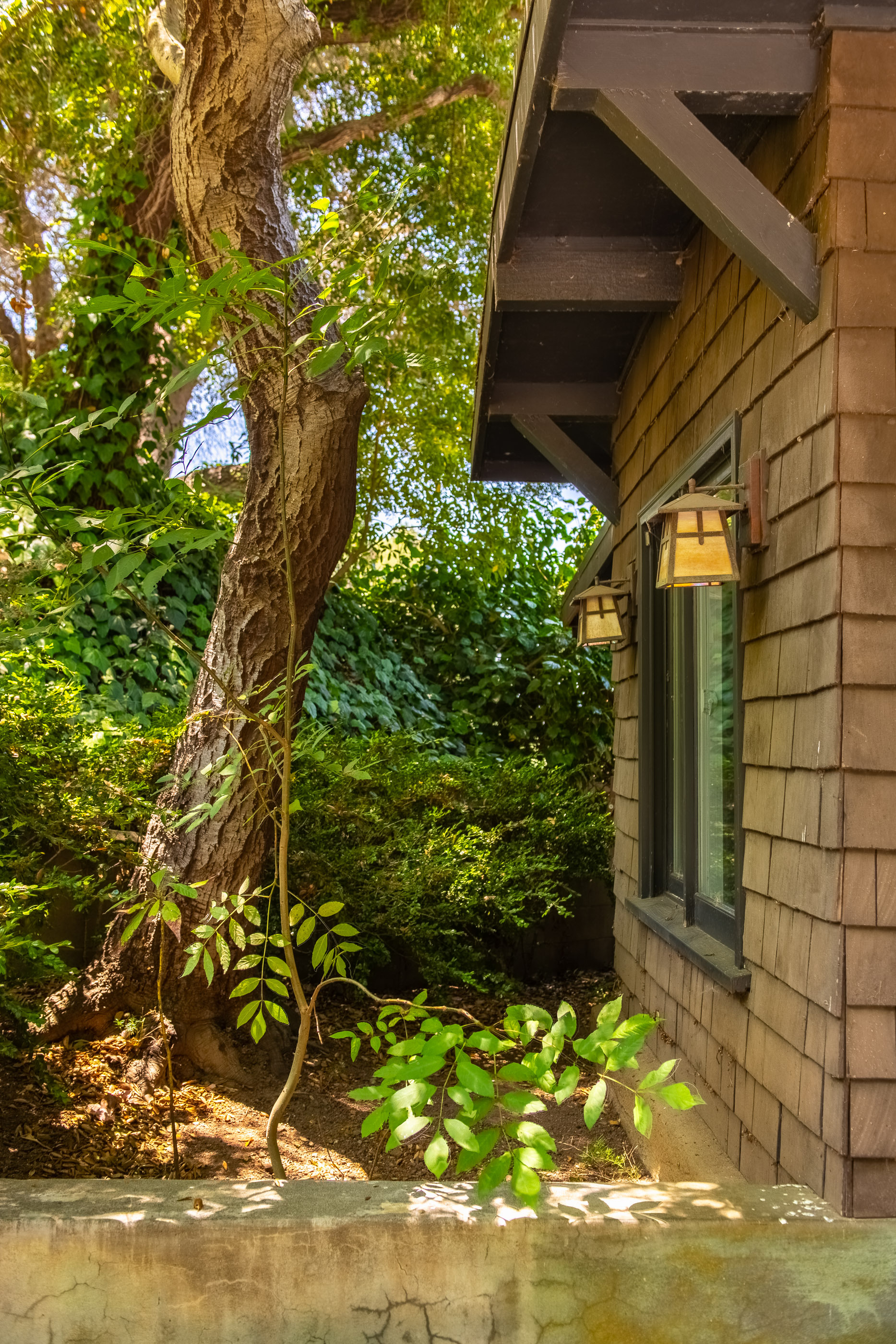  Canyon Chic Meets Modern Elegance in Beverly Hills - 物件實景