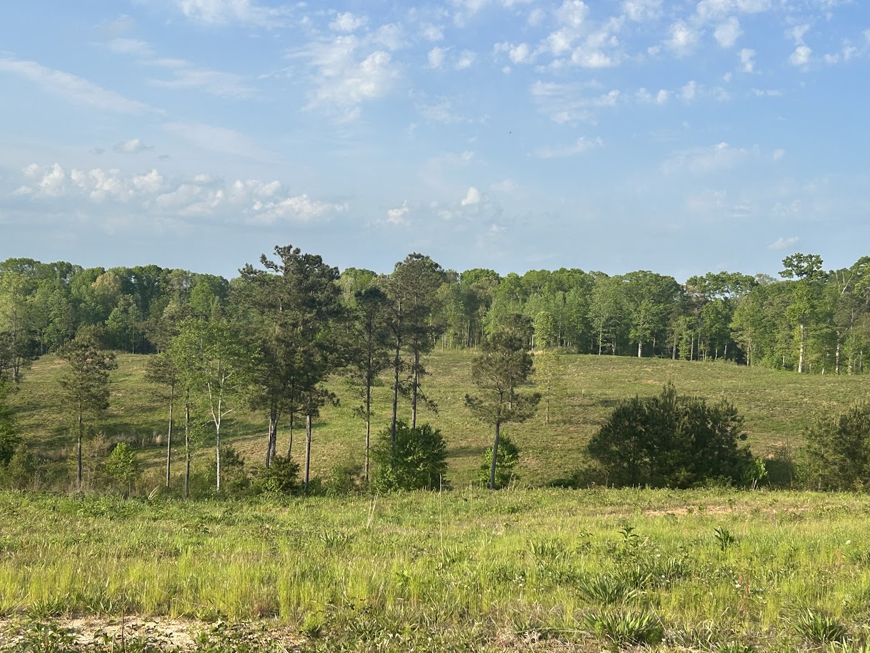 Roopville, Georgia, 30170, United States, ,Residential,For Sale,1780793