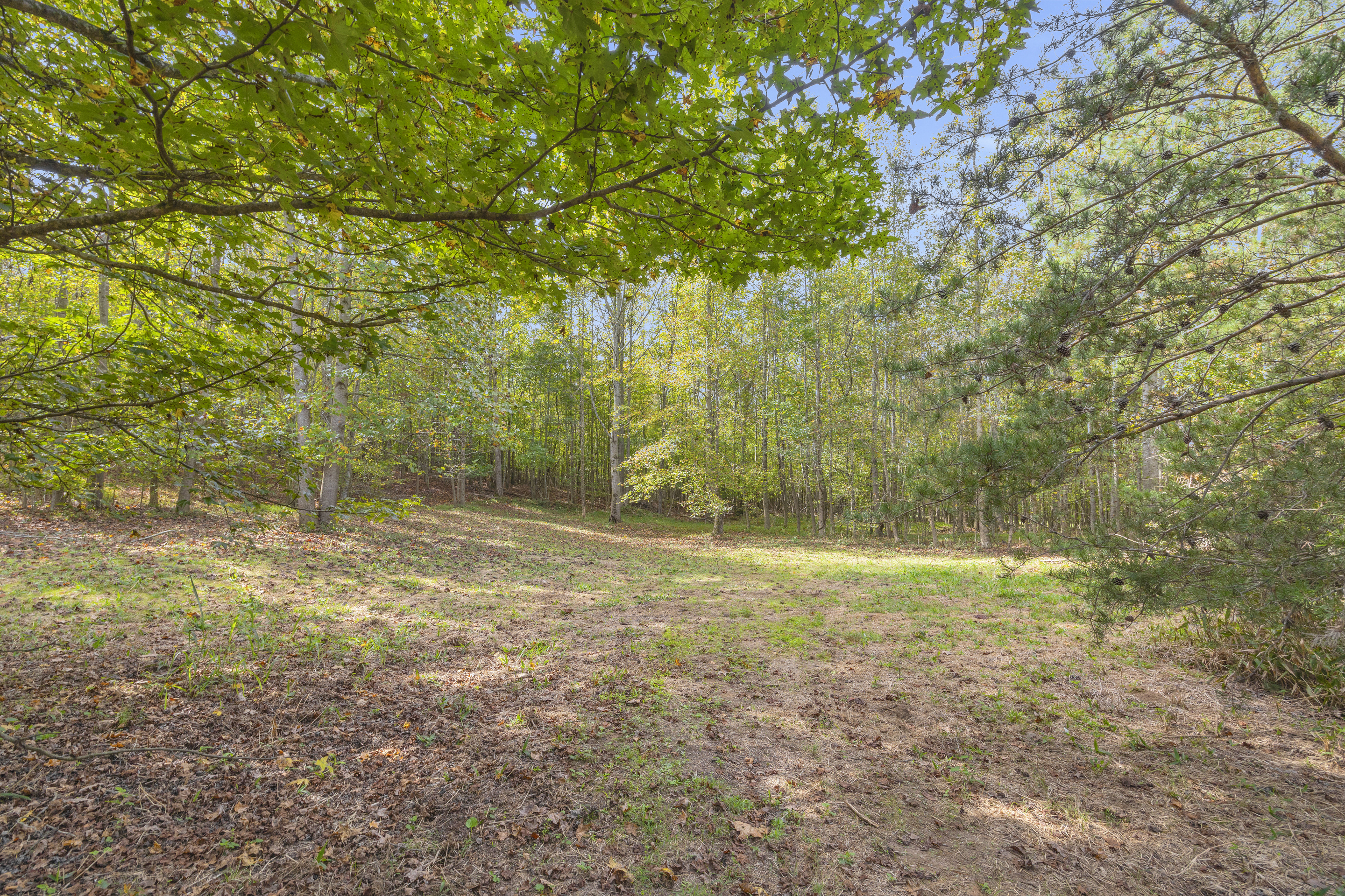 Cleveland, Georgia, 30528, United States, 3 Bedrooms Bedrooms, ,2 BathroomsBathrooms,Residential,For Sale,1979350