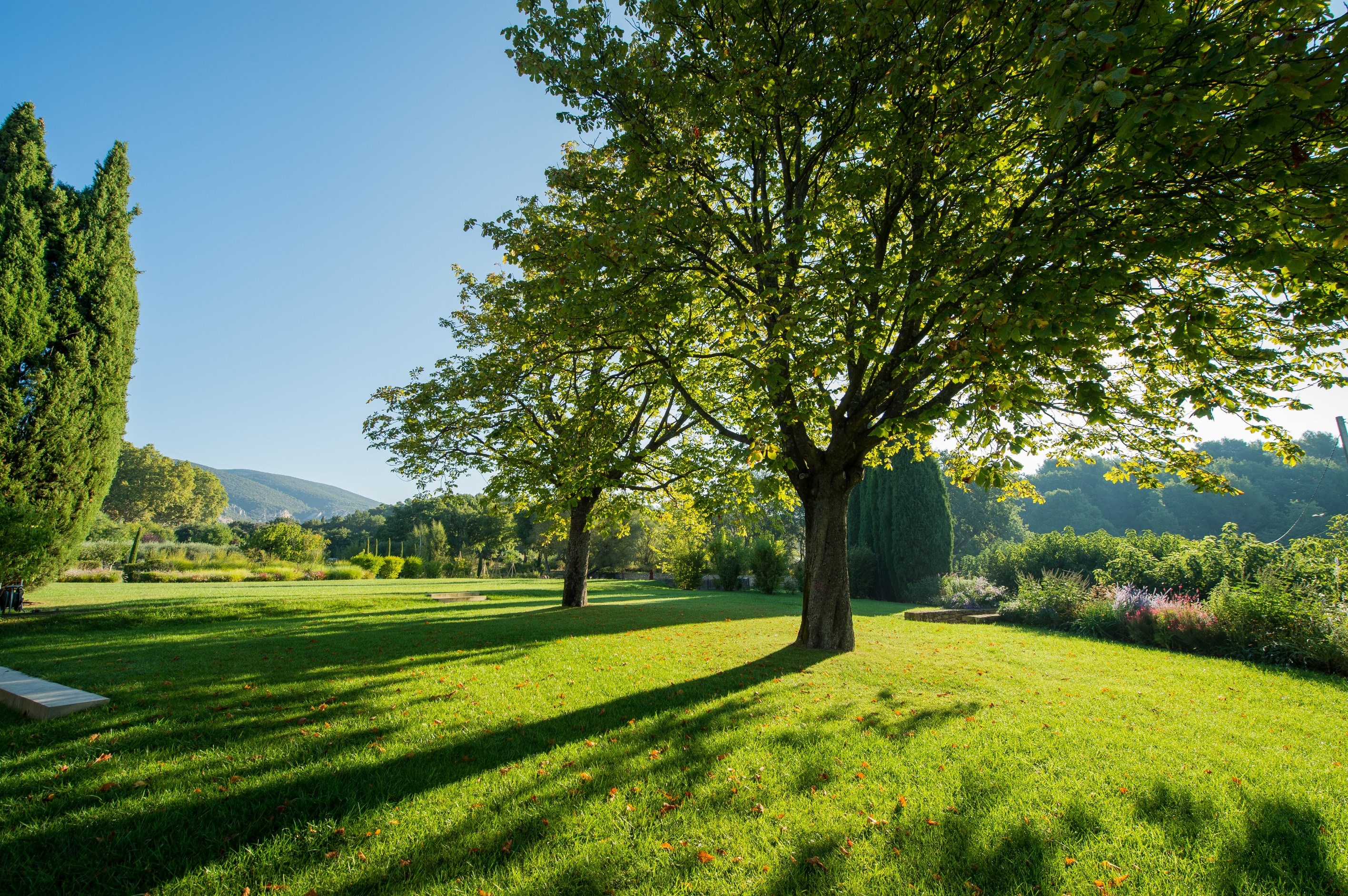  Prime Property in Provence - 物件實景
