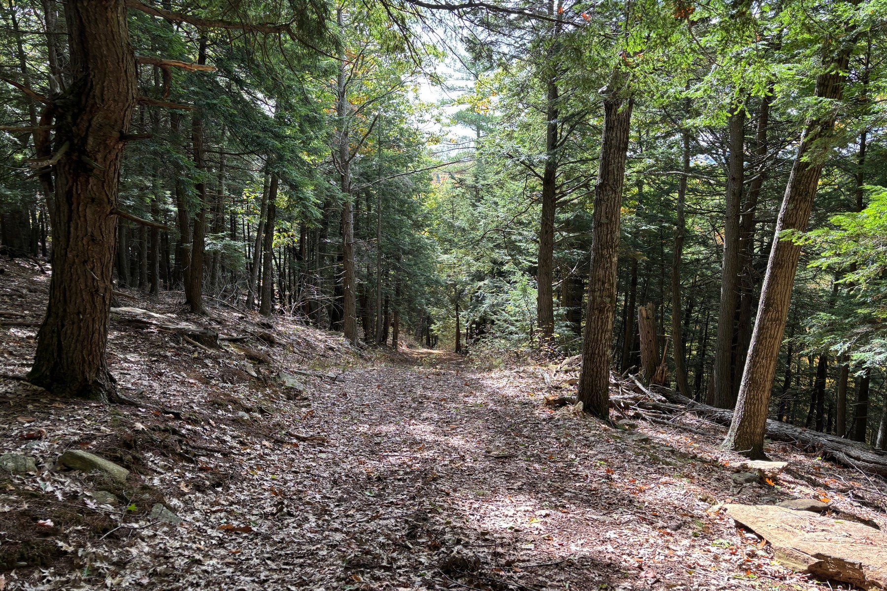  27 acres with close to Chester Village and Skiing - 物件實景