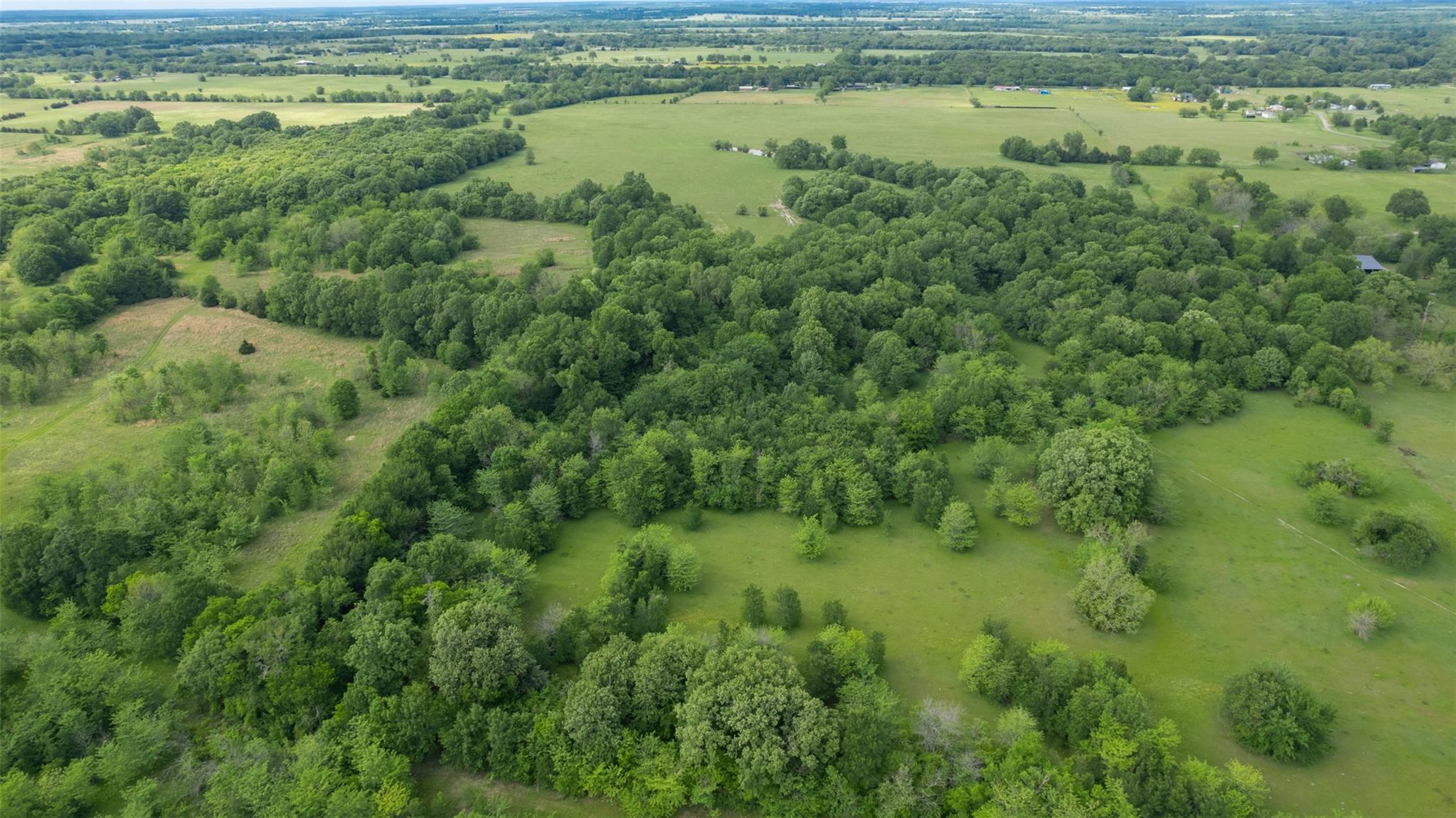 Commerce, Texas, 75428, United States, ,Residential,For Sale,1810631