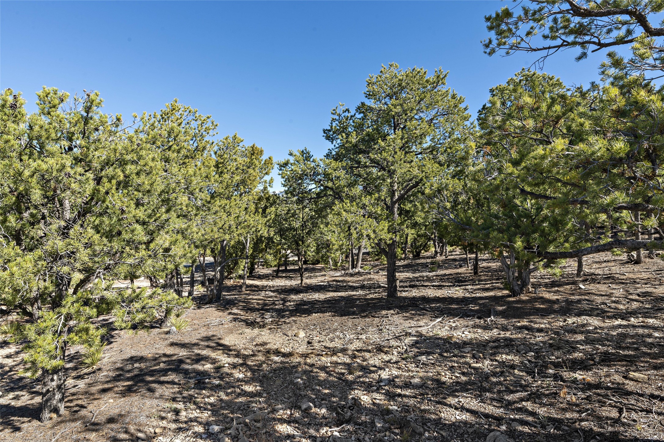  1164 S Summit Drive, Lot 15 - 物件實景