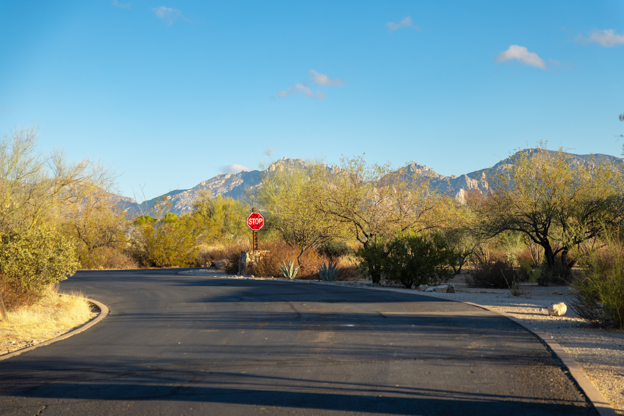  14191 N Giant Saguaro Place¦Oro Valley, AZ - 物件實景