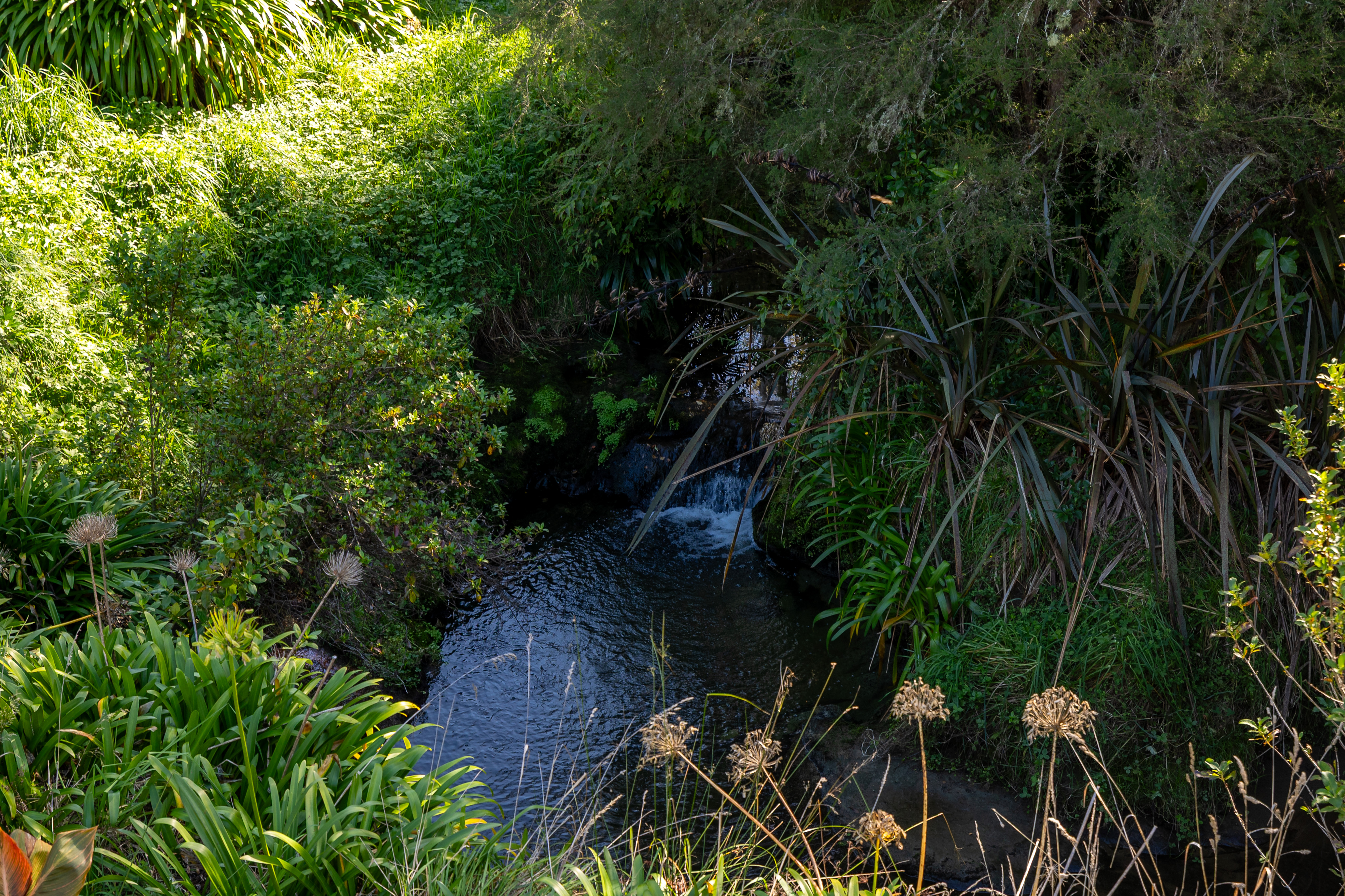  177 Patons Rock Road, Patons Rock, Takaka - 物件實景