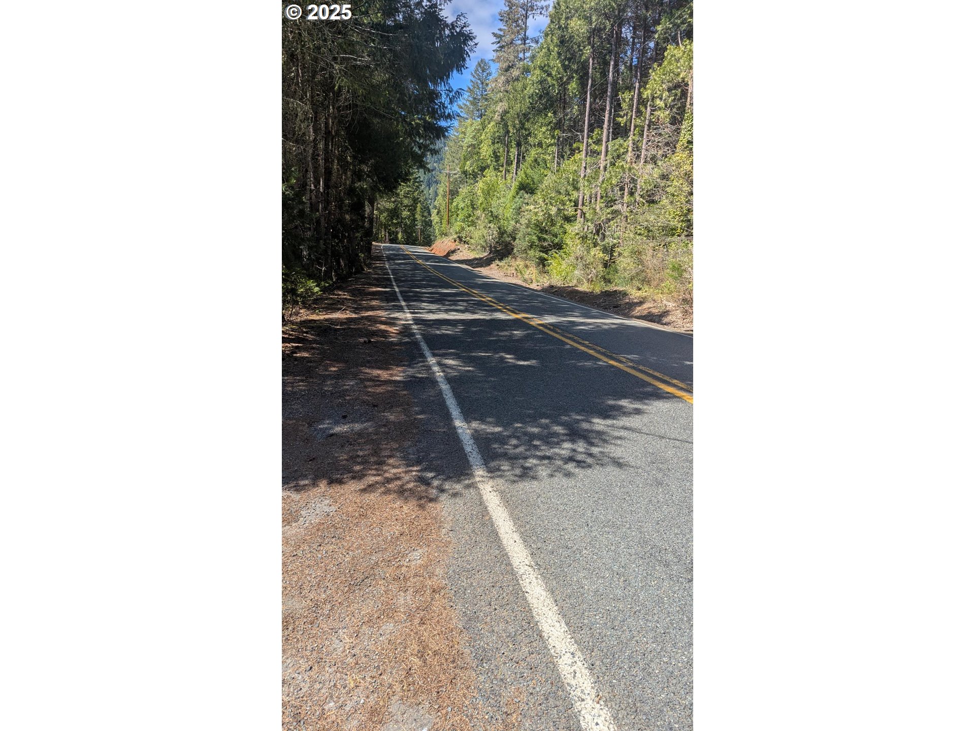 2999 Speaker Rd, Wolf Creek, Oregon, 97497, United States, 4 Bedrooms Bedrooms, ,4 BathroomsBathrooms,Residential,For Sale,2999 Speaker Rd,1659471