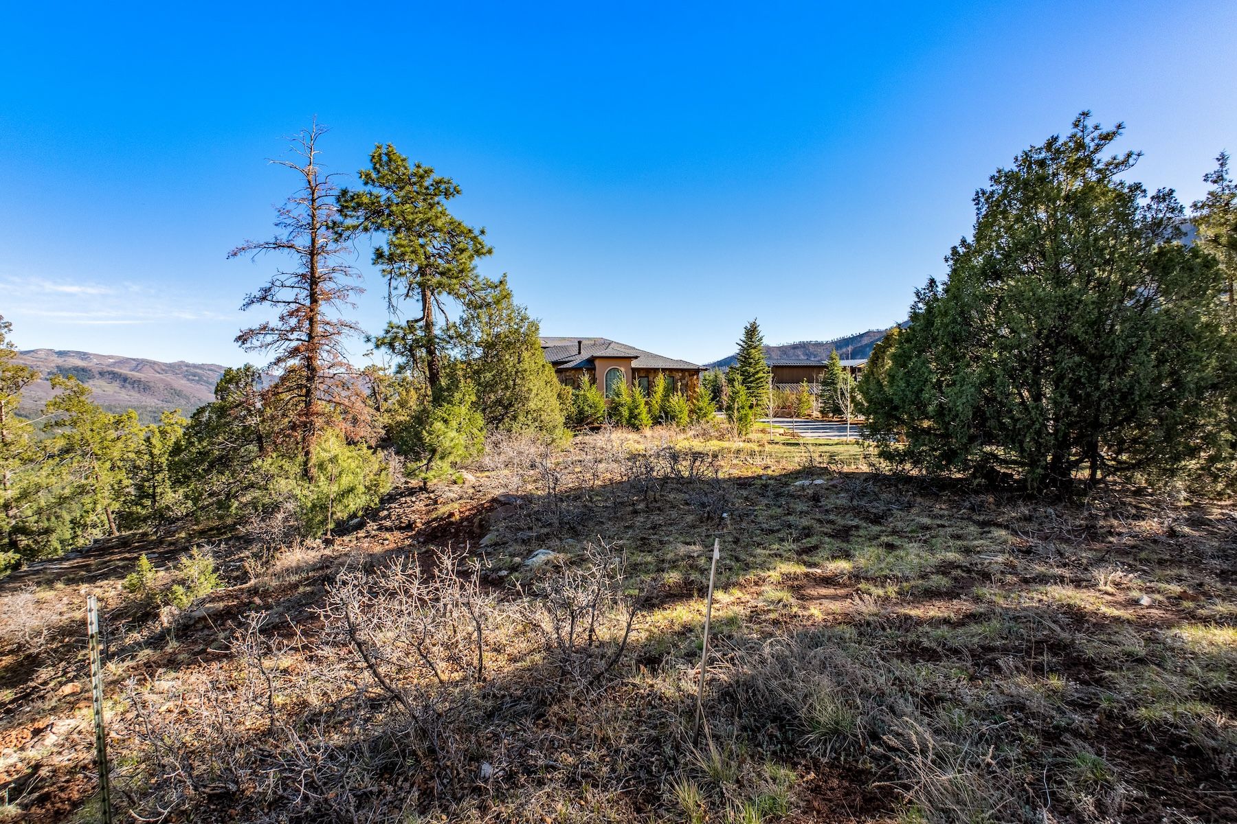  557 Glacier Cliff Drive, Durango, CO 81301 - 物件實景