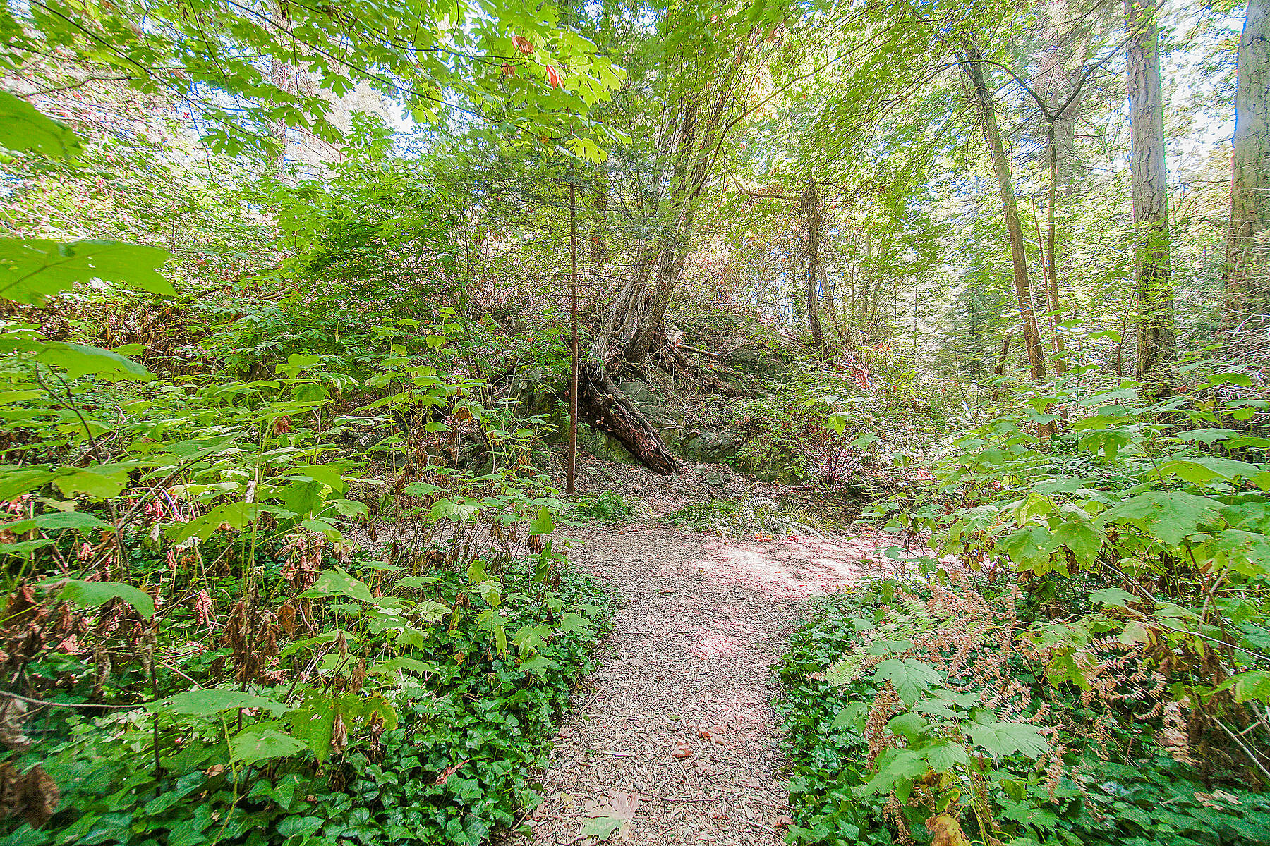  West Vancouver, Greater Vancouver - 物件實景