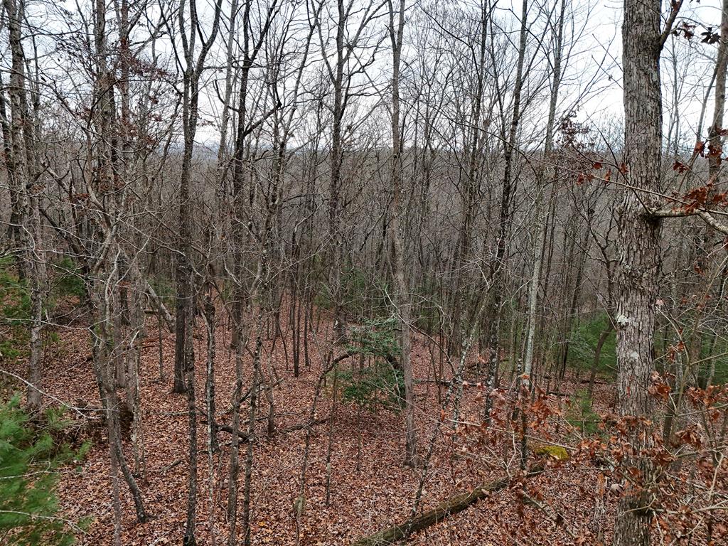 Blue Ridge, Georgia, 30513, United States, ,Land,For Sale,1859049