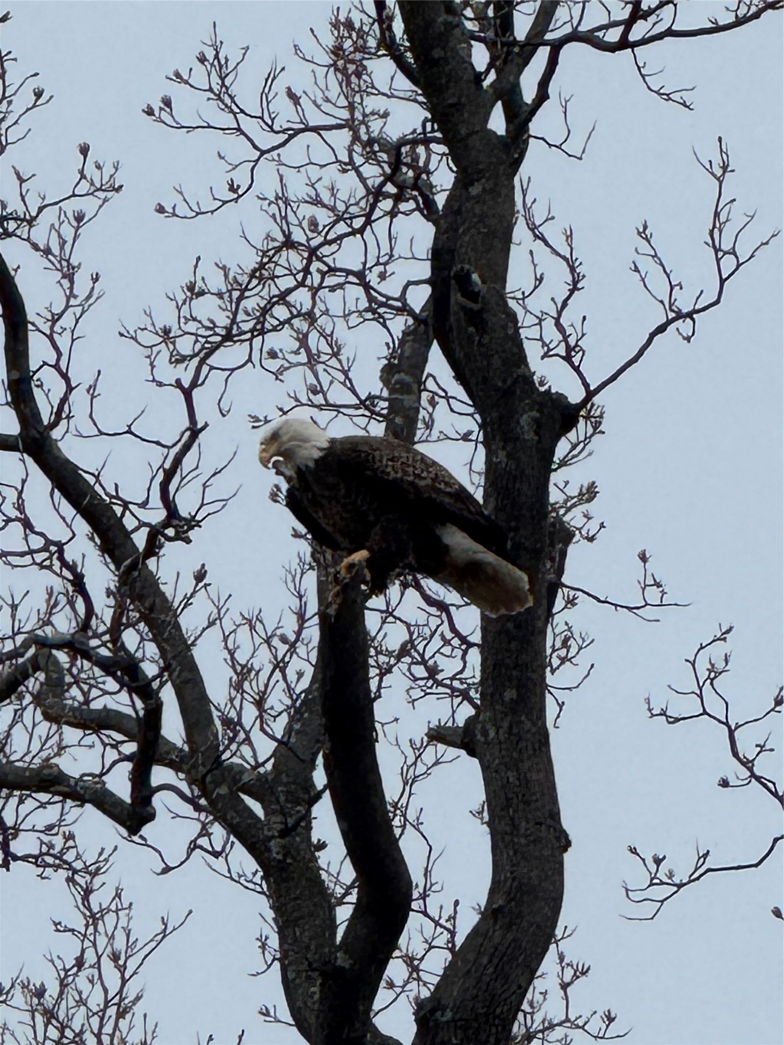 Nyack, New York, 10960, United States, 4 Bedrooms Bedrooms, ,5 BathroomsBathrooms,Residential,For Sale,1976338