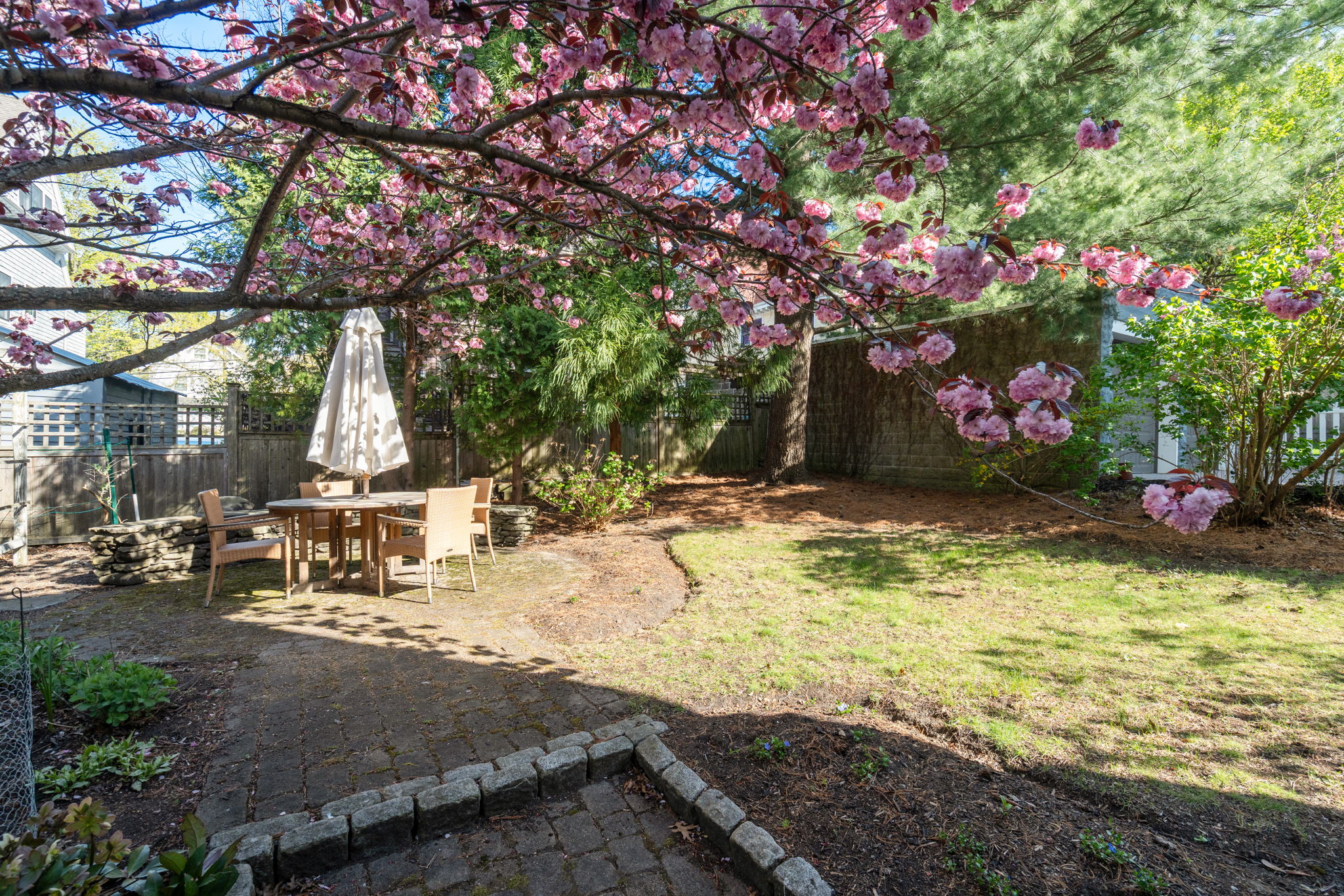  121 Thorndike Street, Brookline, MA, 02446 - 物件實景