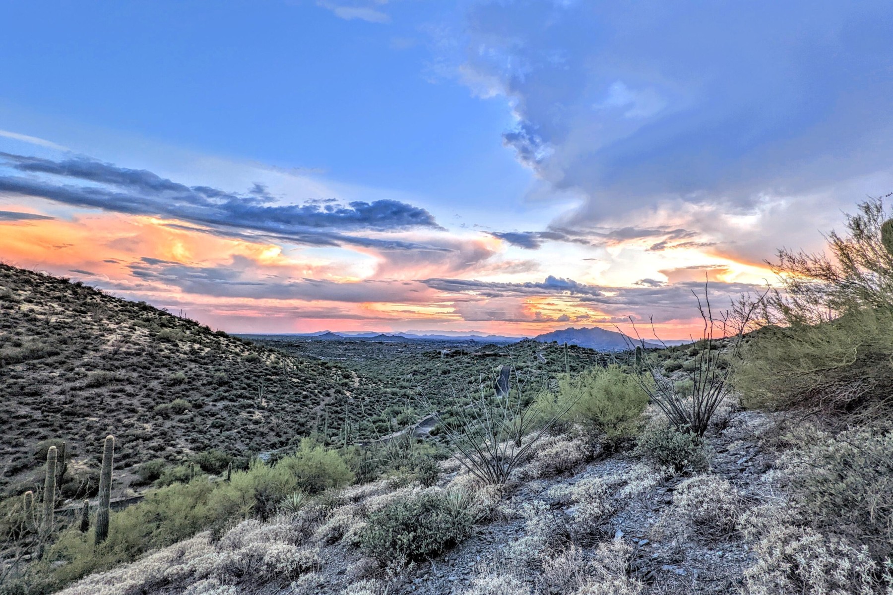  9146 E Limousin Drive¦Scottsdale, AZ - 物件實景