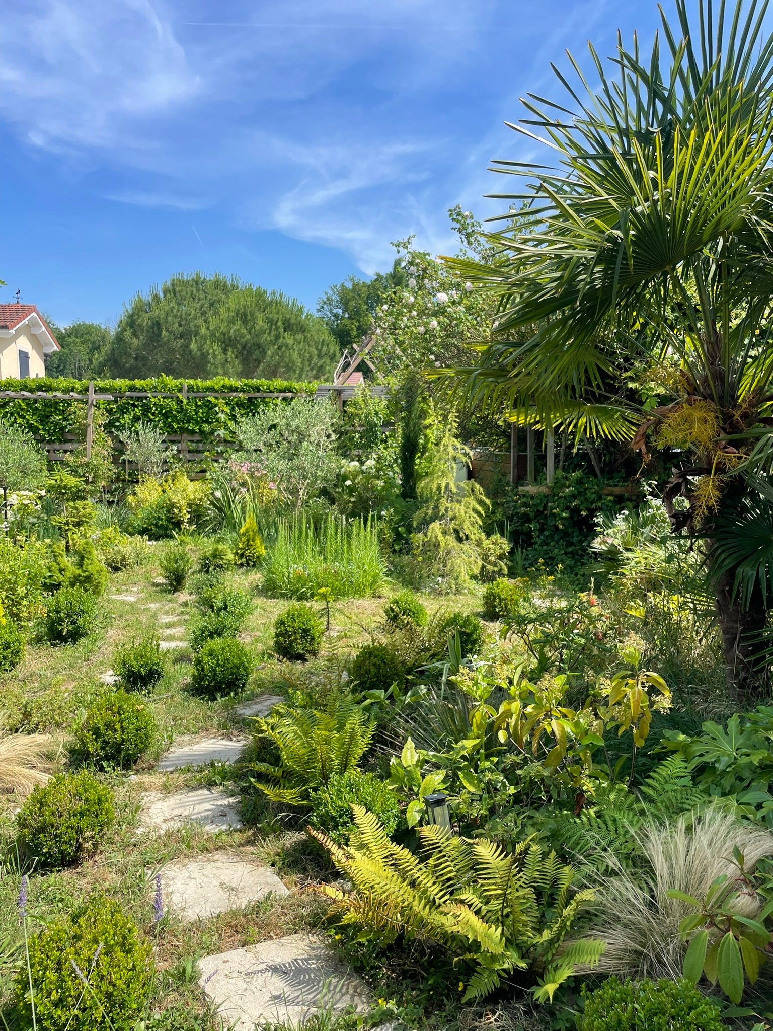  Contemporary timber architecture, light and transparency - 物件實景