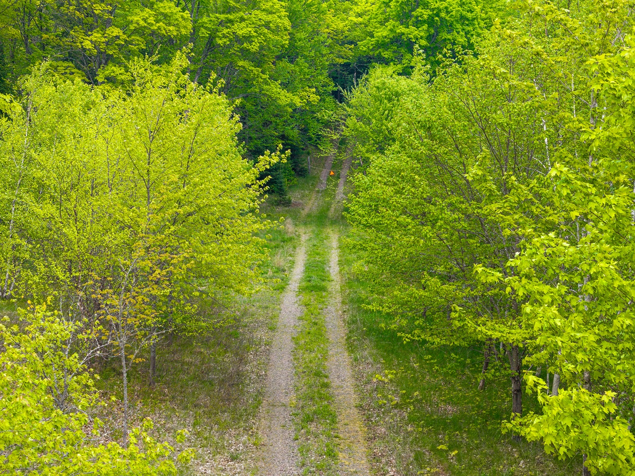 Oma, Wisconsin, 54534, United States, ,Residential,For Sale,1920346