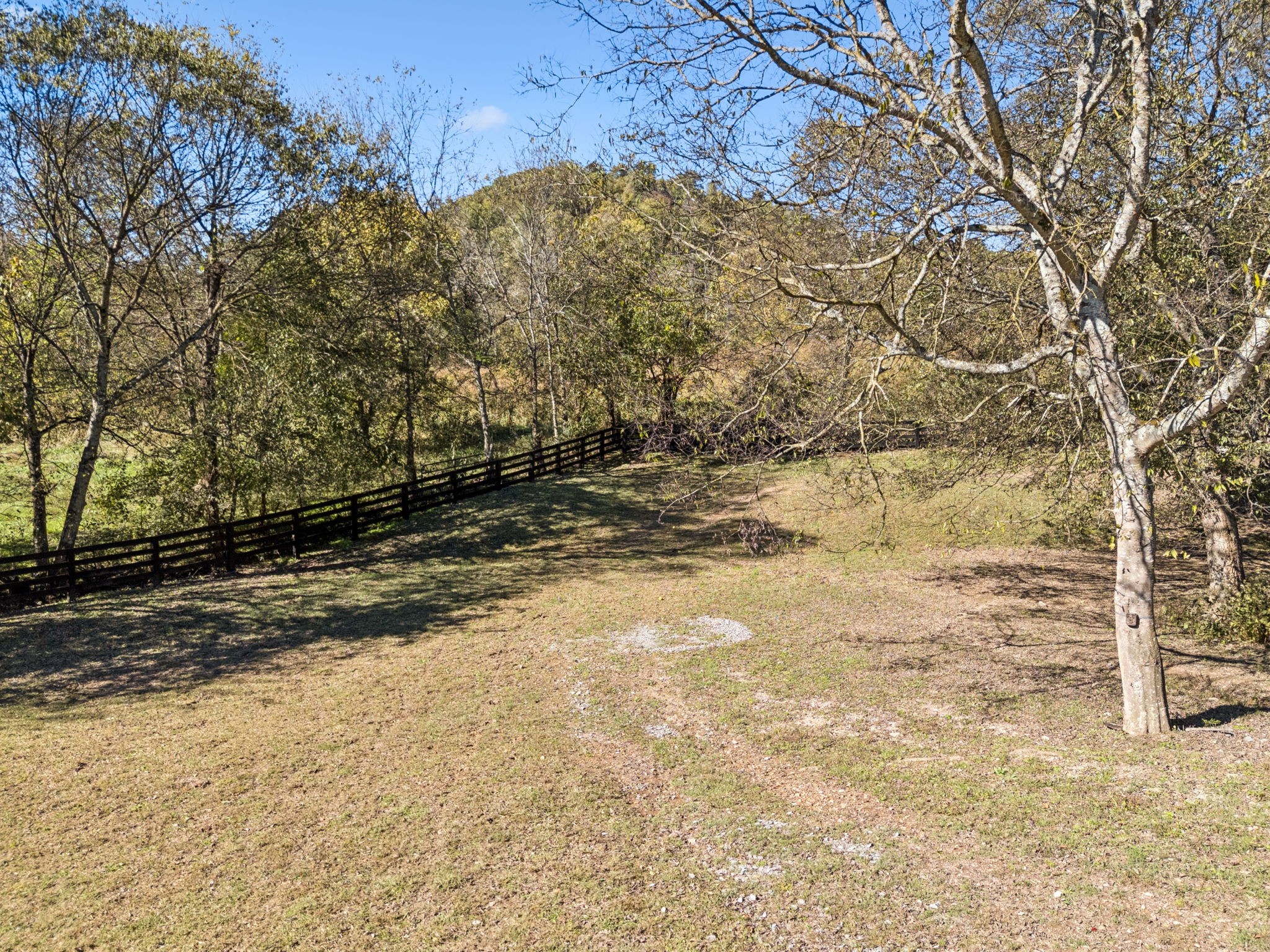 2846 Fuller Hollow Rd, Cornersville, TN, 37047 - 物件實景