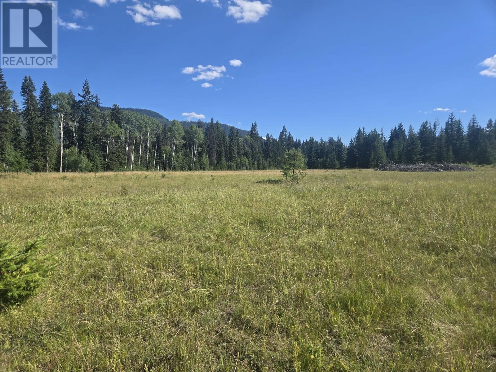 FALKLAND, British Columbia, V0E 1W1, CA, ,Residential,For Sale,1906760