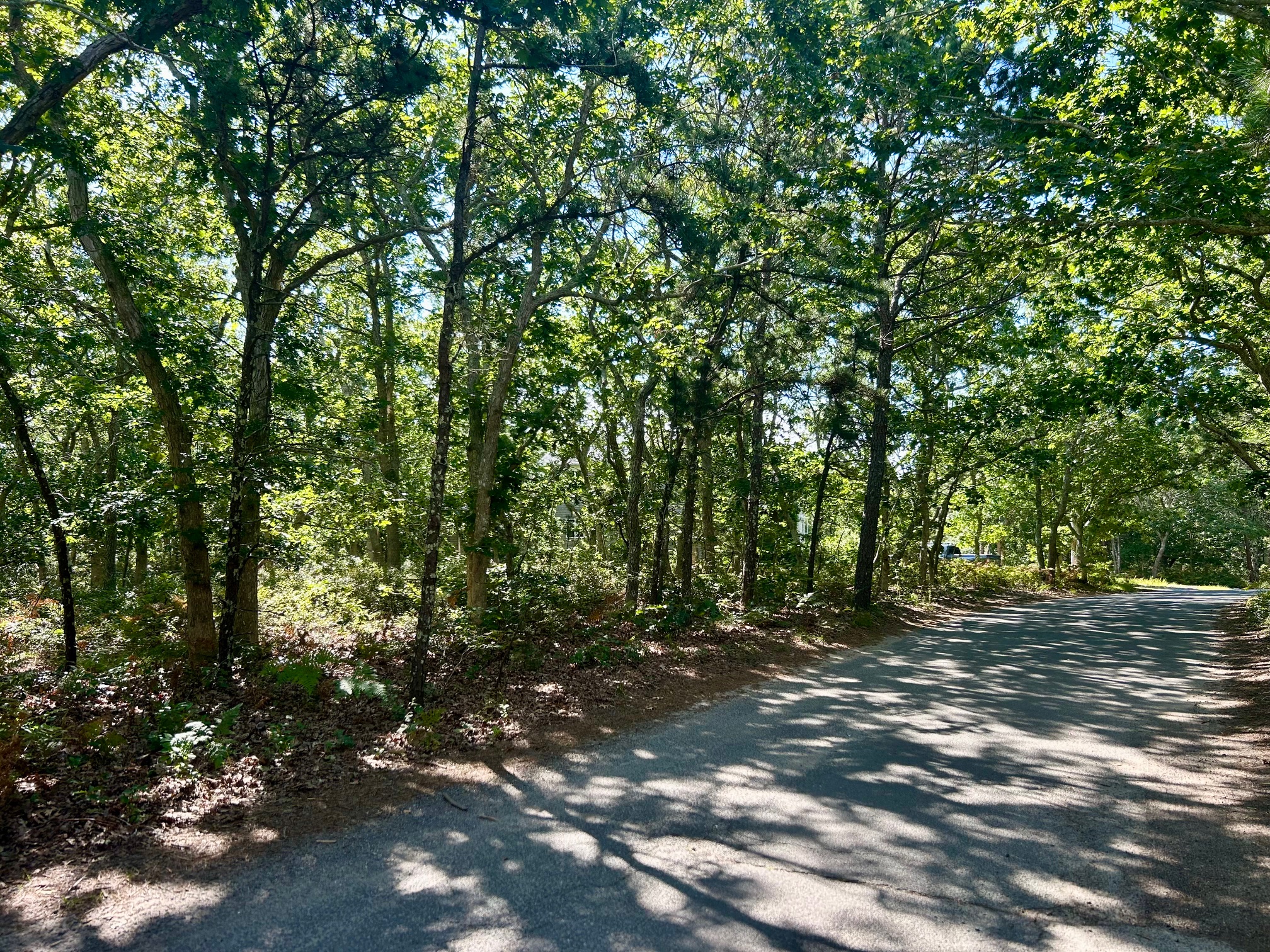  Land in Edgartown - 物件實景