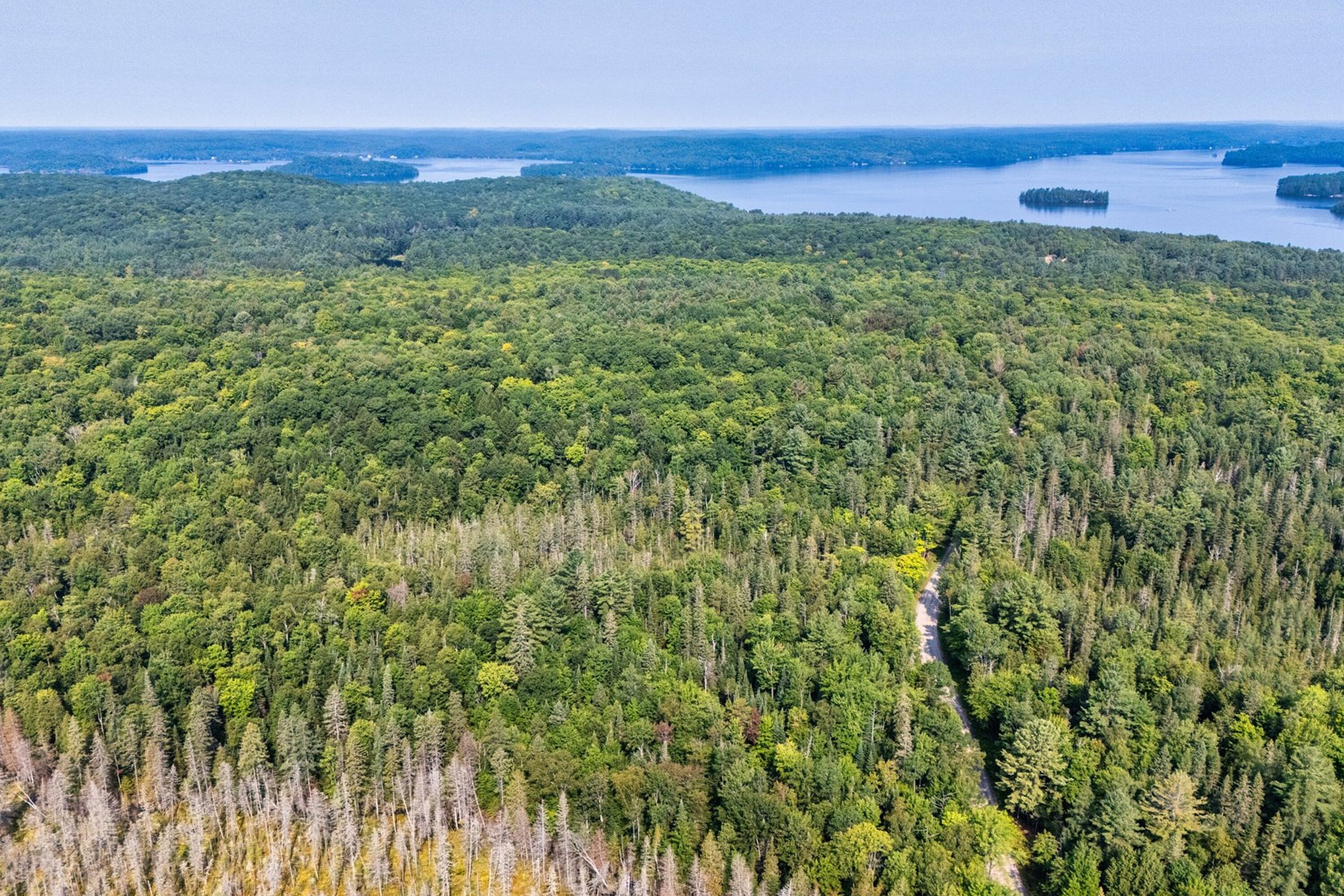  Extraordinary Lake of Bays - 物件實景