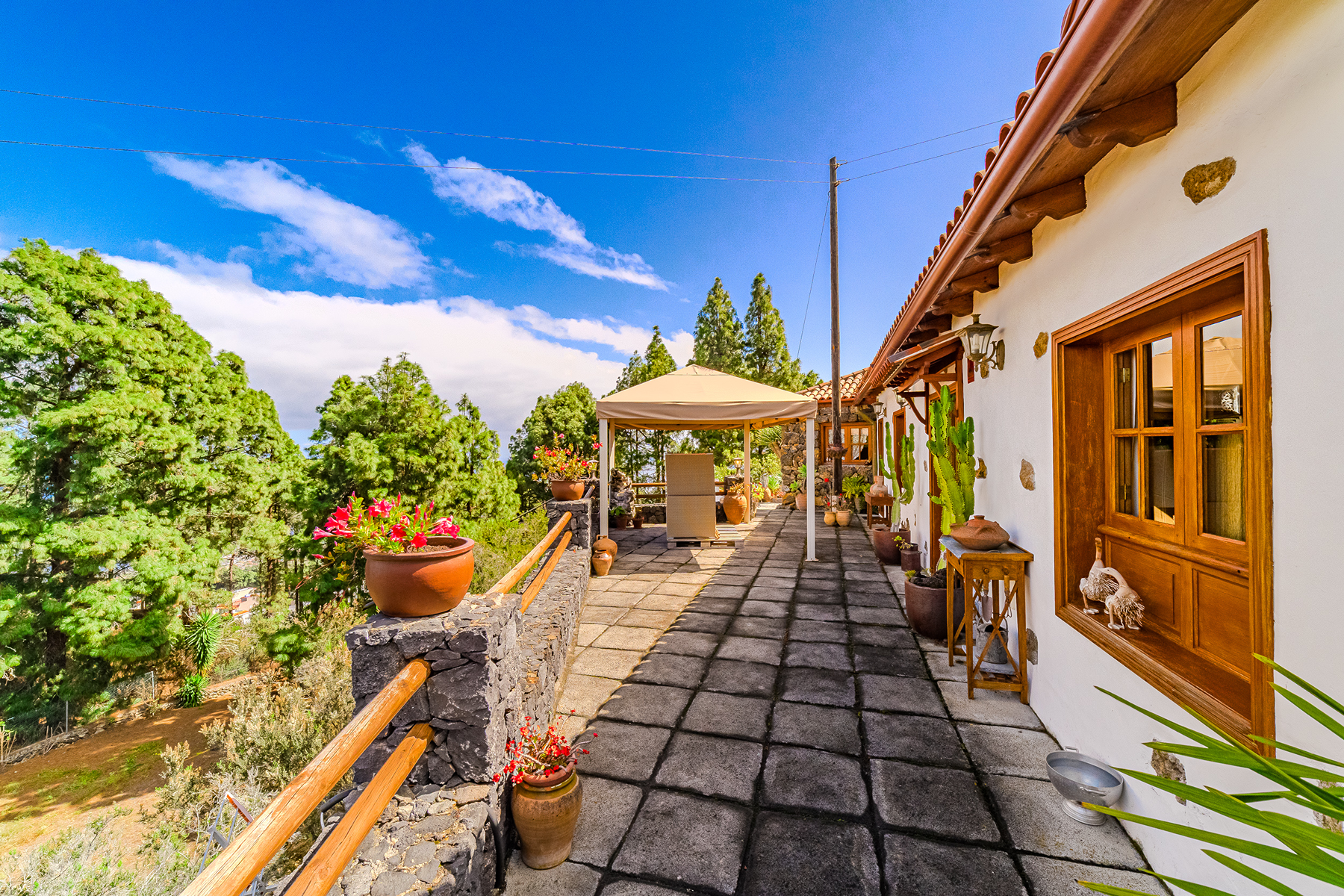  Rustic farmhouse in Icod de los Vinos, Tenerife - 物件實景