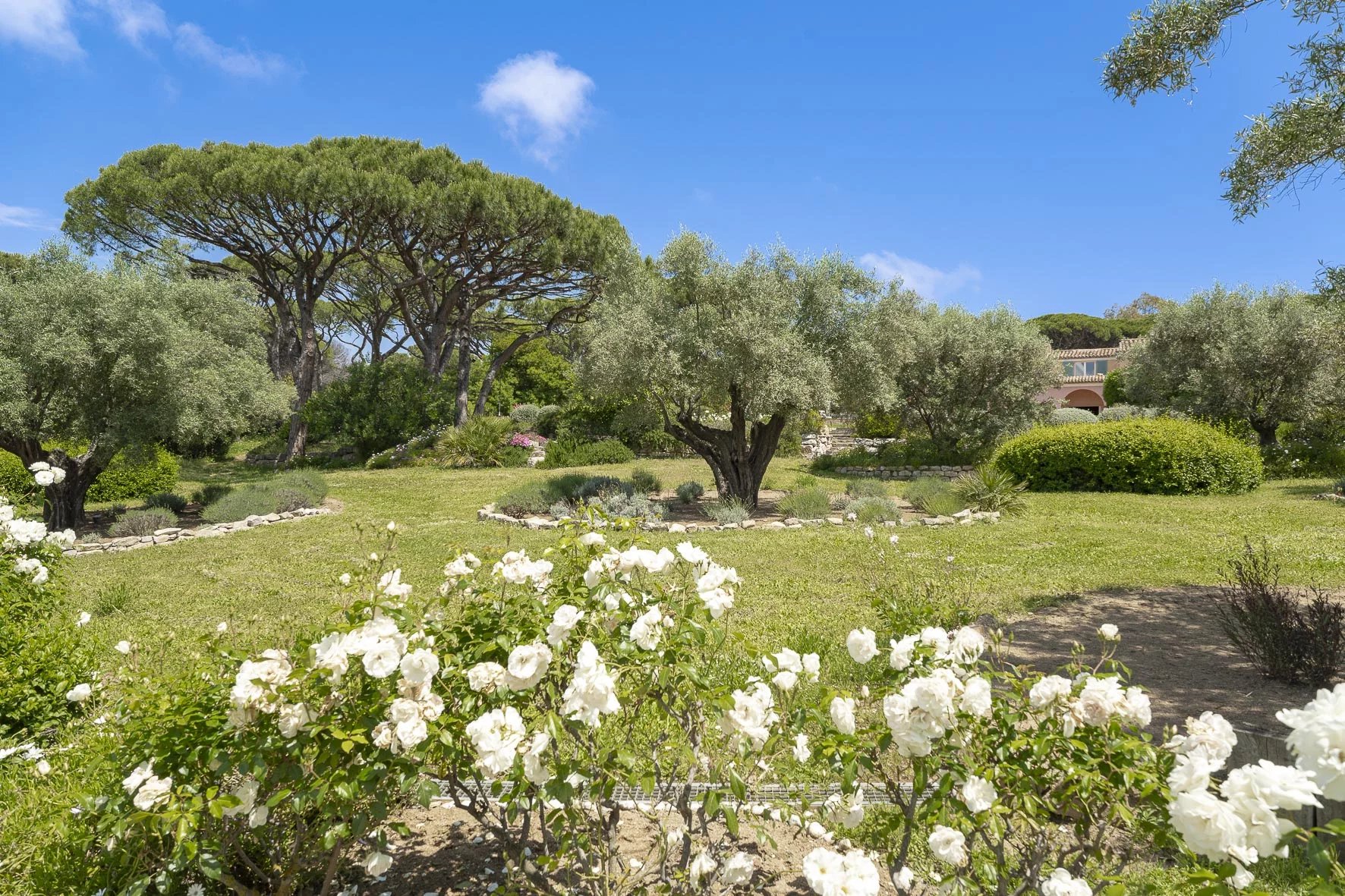 Saint-Tropez, Provence-Alpes-Côte d’Azur, 83990, FR, 6 Bedrooms Bedrooms, ,10 BathroomsBathrooms,Residential,For Sale,1656229