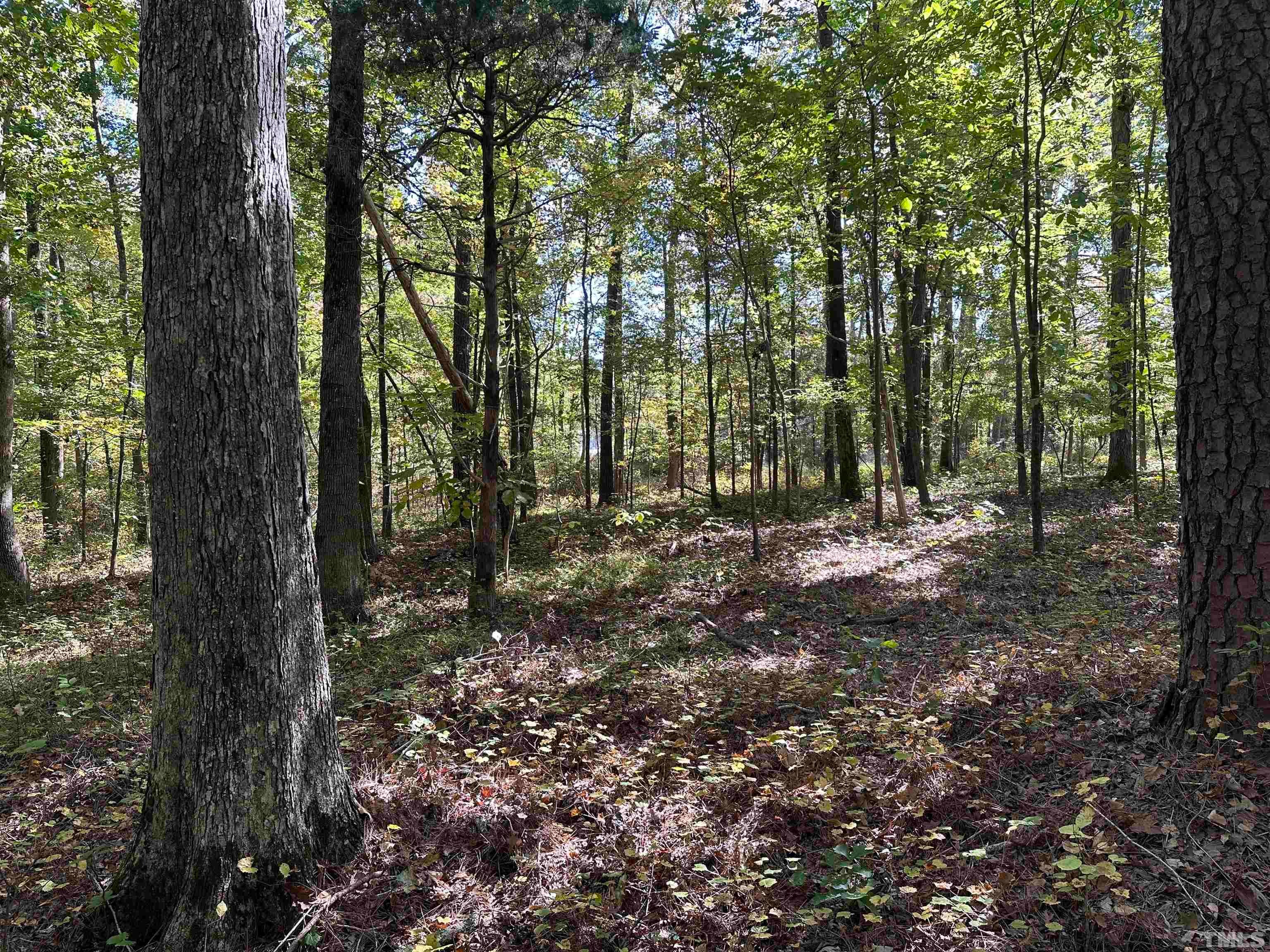 8017 Farrington Mill Road, Chapel Hill, North Carolina, 27517, United States, ,Land,For Sale,8017 Farrington Mill Road,1623508