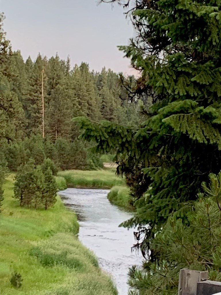 New Meadows, Idaho, 83654, United States, ,Land,For Sale,2005639