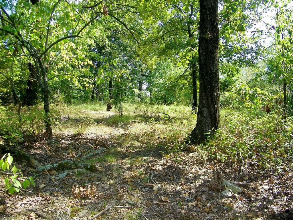 Broken Bow, Oklahoma, 74728, United States, ,Residential,For Sale,1979541