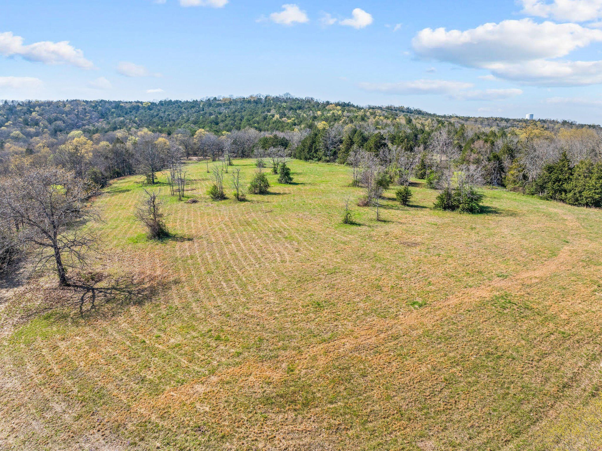 Kirbyville, Missouri, 65679, United States, ,Land,For Sale,1978892