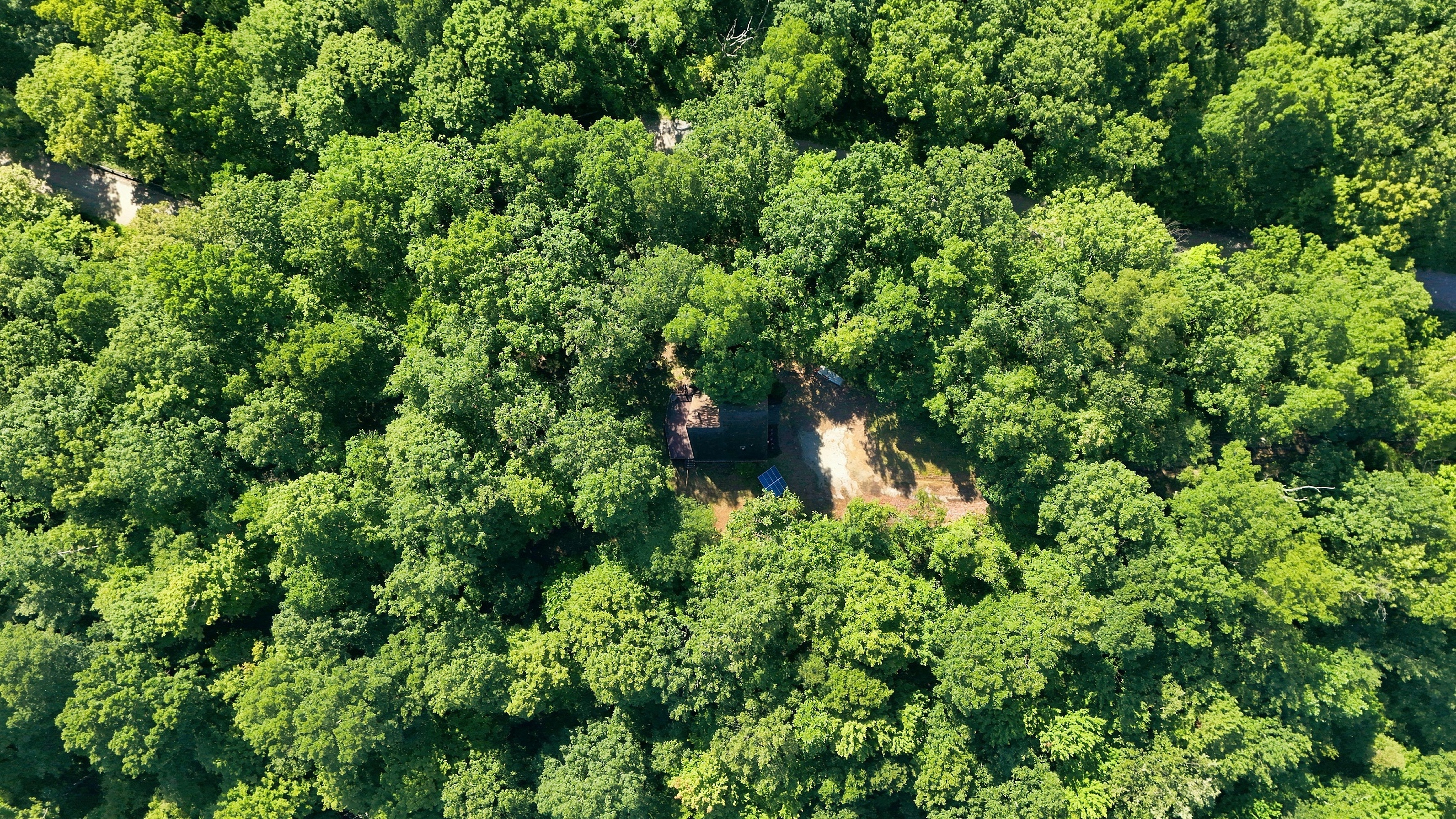  3870 North Leval Ratt Road, Scottsburg, IN 47170 - 物件實景