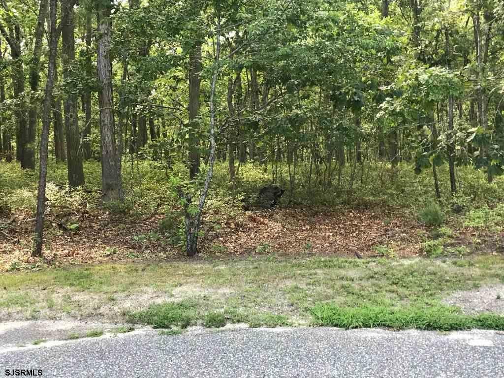 New York Road, Galloway Township, New Jersey, 08205, United States, ,Land,For Sale,New York Road,1434182