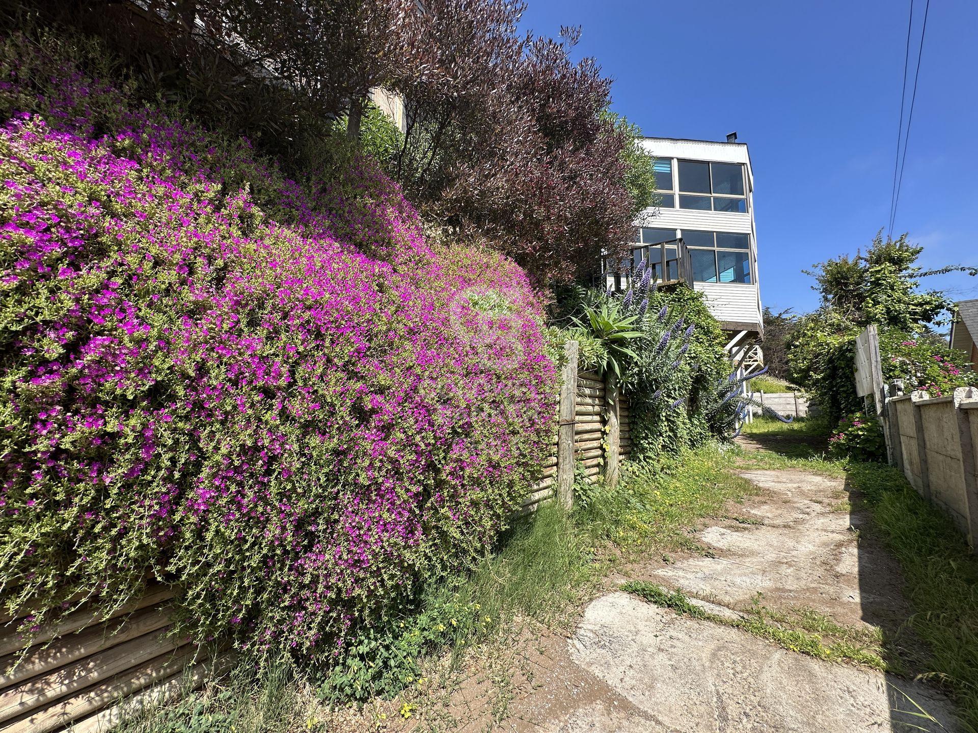 Puchuncaví, Chile, 6 Bedrooms Bedrooms, ,4 BathroomsBathrooms,Residential,For Sale,1955796