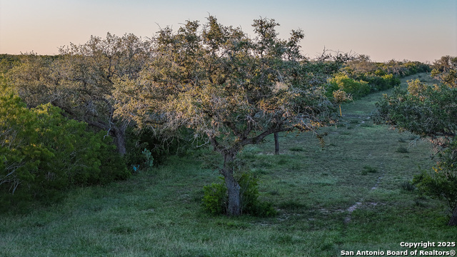 Beeville, Texas, 78102, United States, ,Land,For Sale,1942121