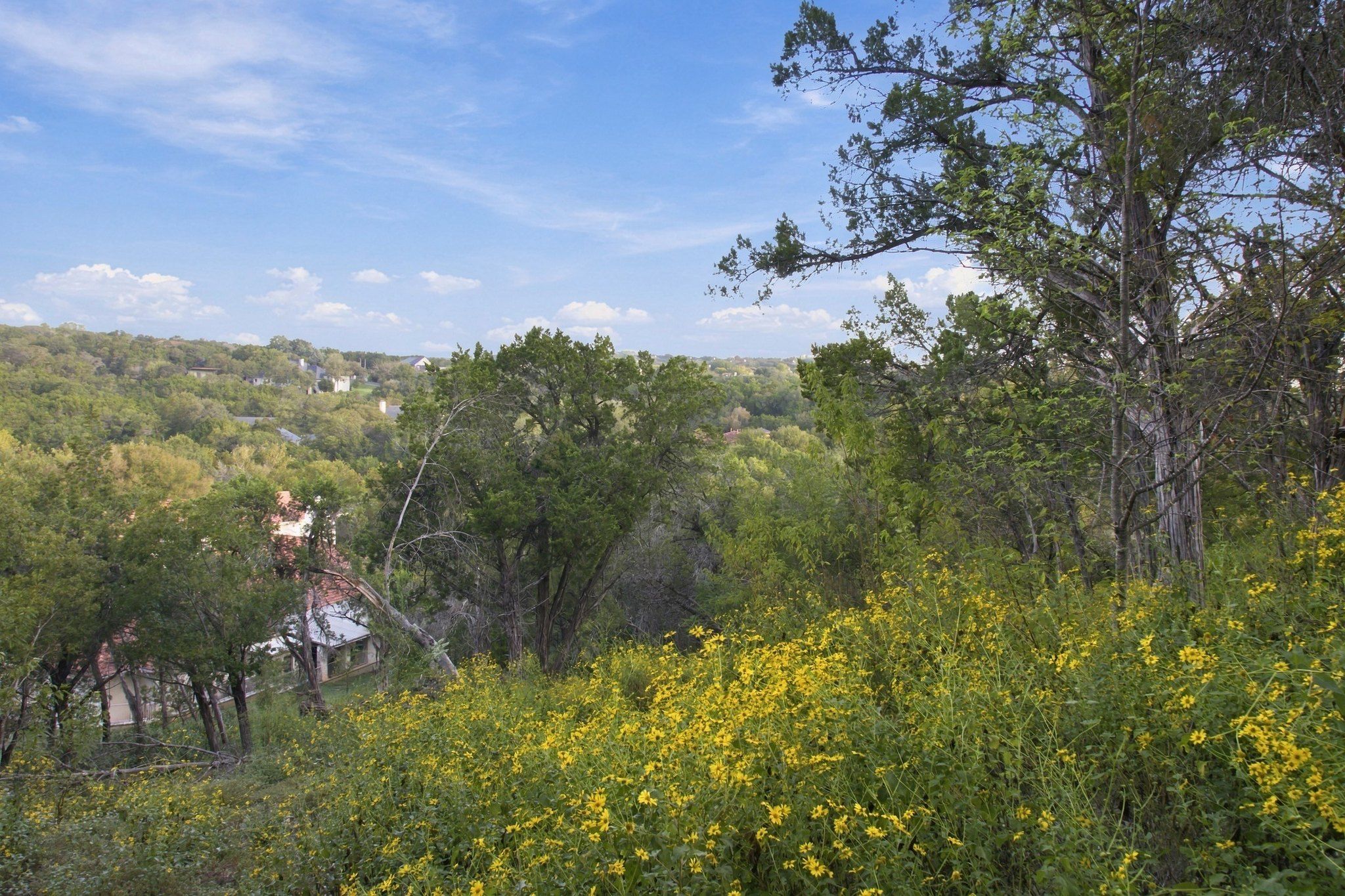  Private acreage in The Estates of Barton Creek - 物件實景