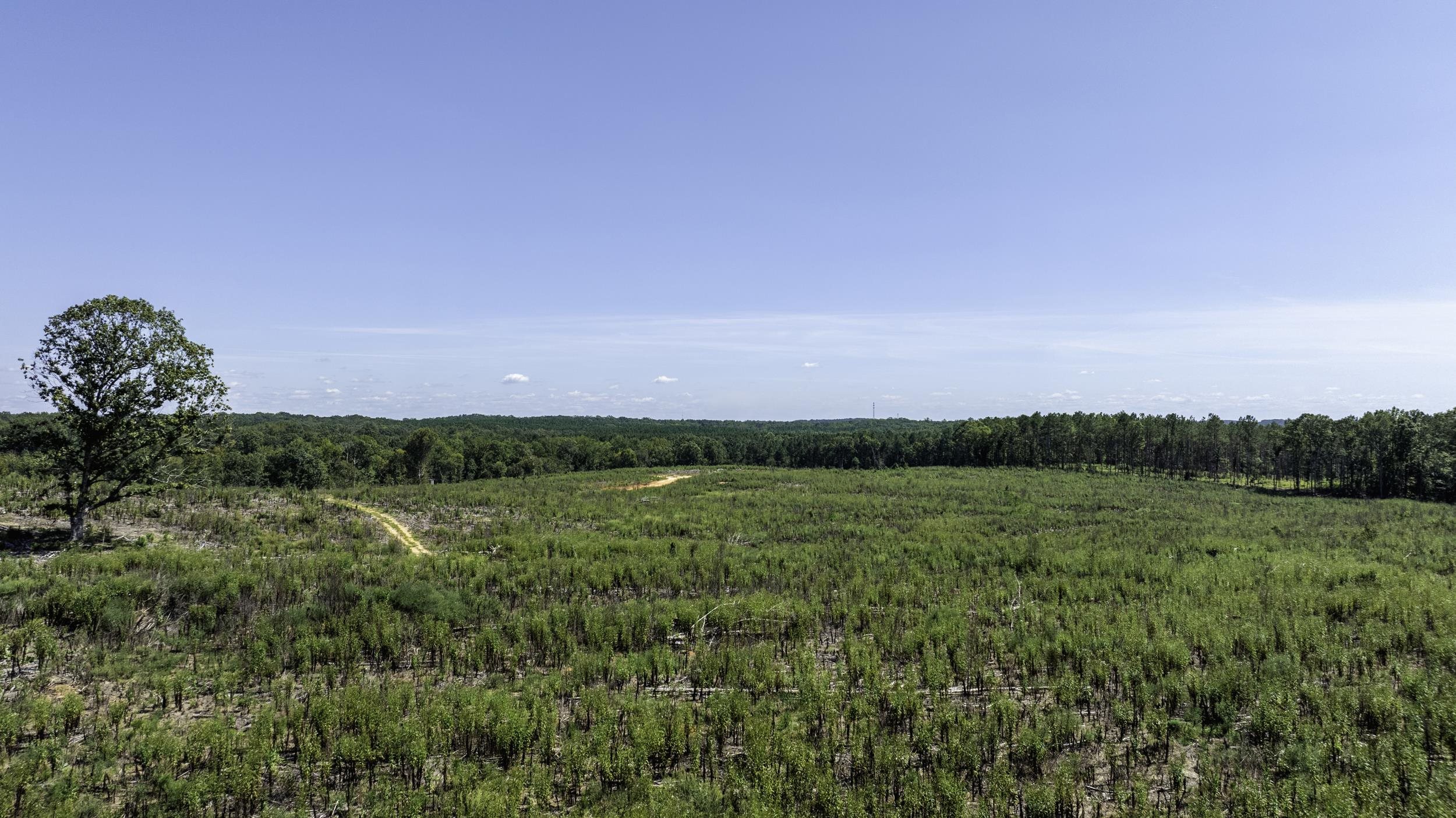 Gray Court, South Carolina, 29645, United States, ,Land,For Sale,1979531
