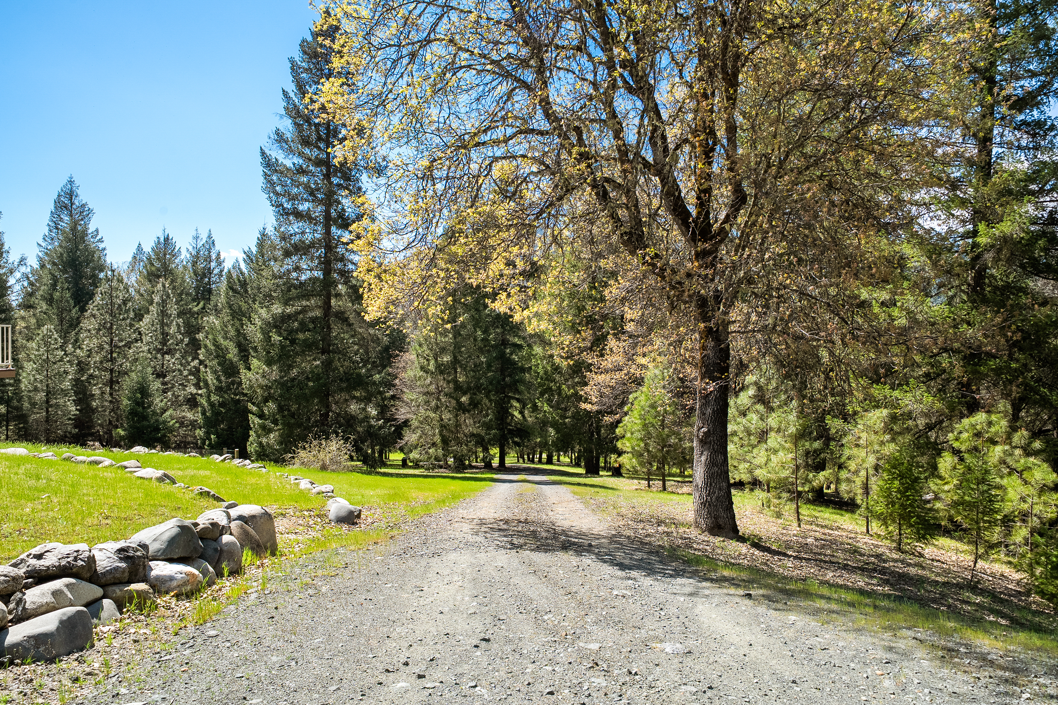  2995 Goose Ranch Road, Lewiston, CA 96052 - 物件實景