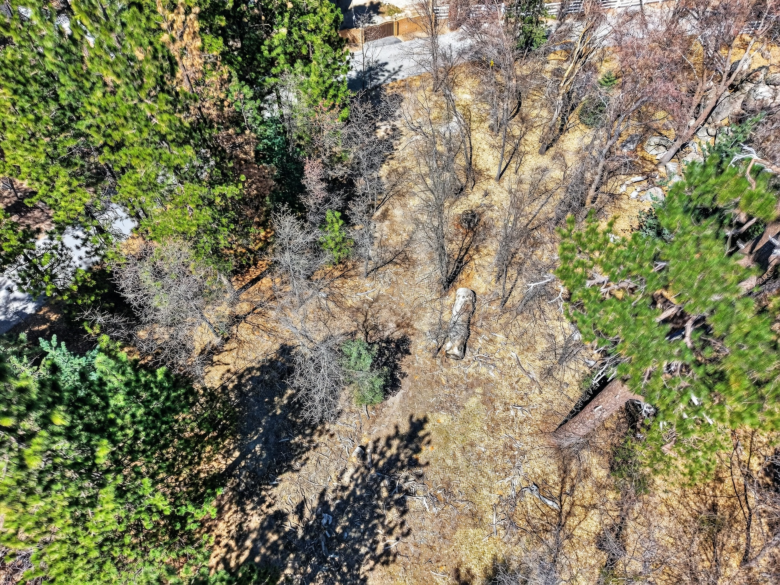  0 Cepu Rd, Running Springs , CA 92382 - 物件實景