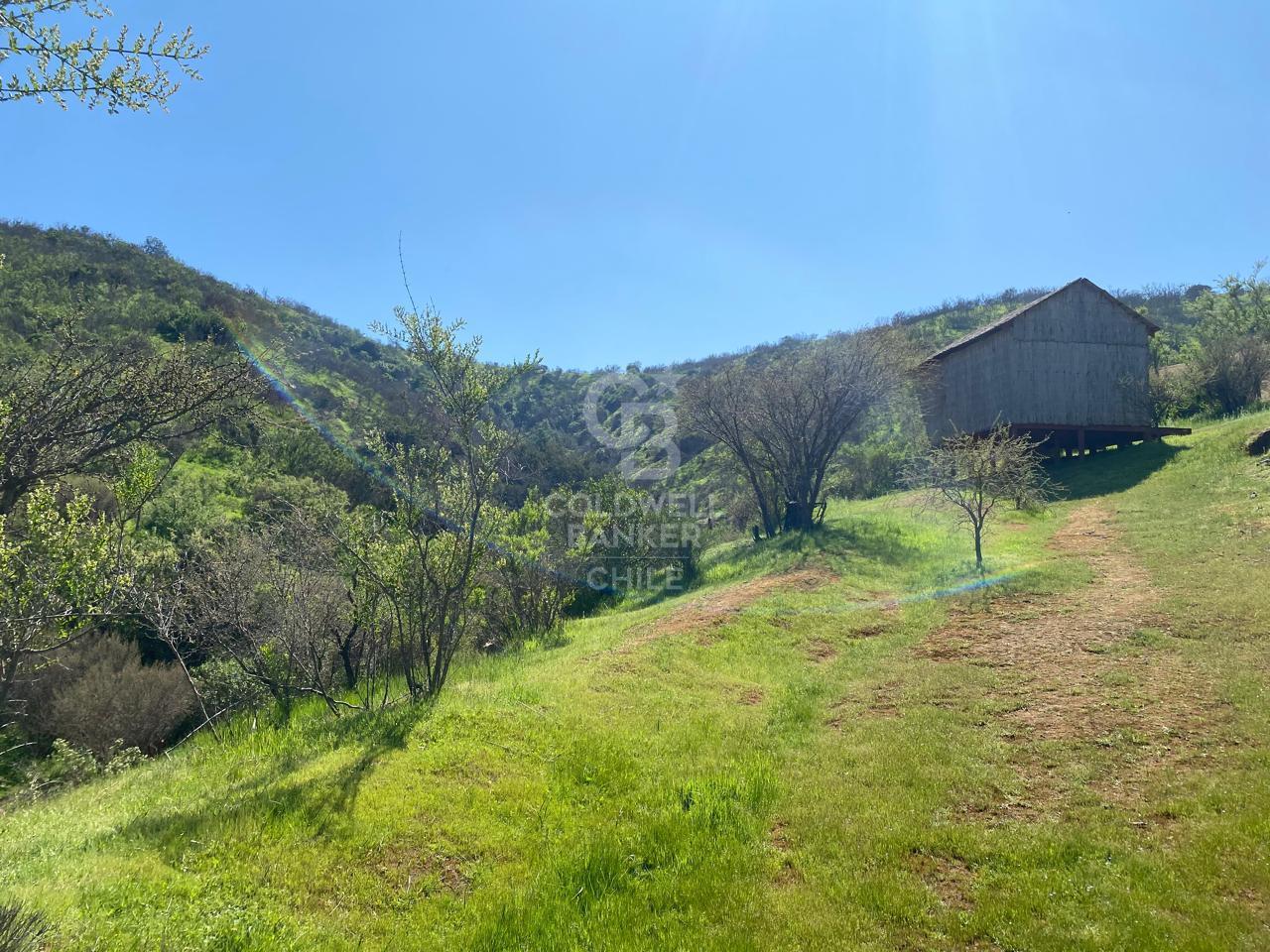 Limache, Chile, 5 Bedrooms Bedrooms, ,3 BathroomsBathrooms,Residential,For Sale,1959134