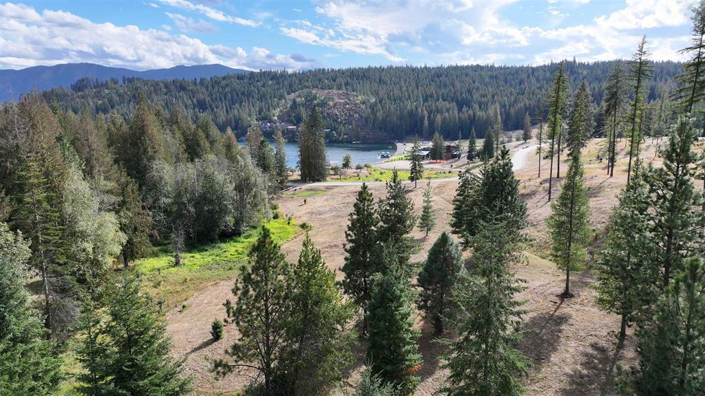 Sagle, Idaho, 83860, United States, ,Land,For Sale,1980438