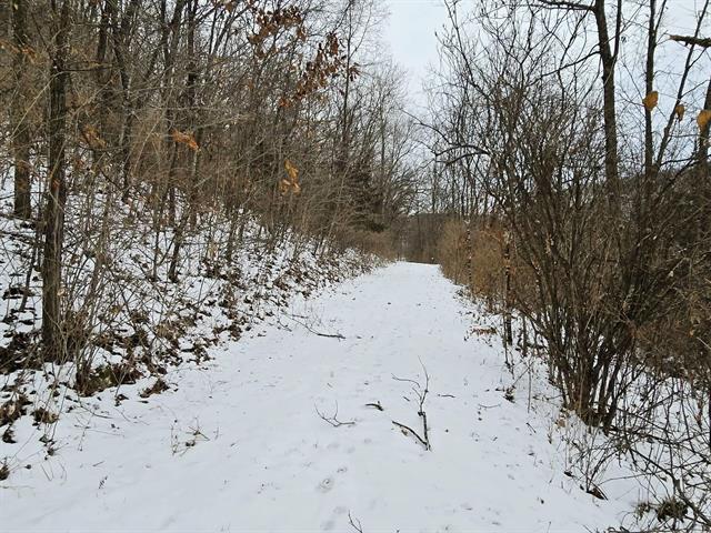 Gays Mills, Wisconsin, 54631, United States, 3 Bedrooms Bedrooms, ,3 BathroomsBathrooms,Residential,For Sale,2006070