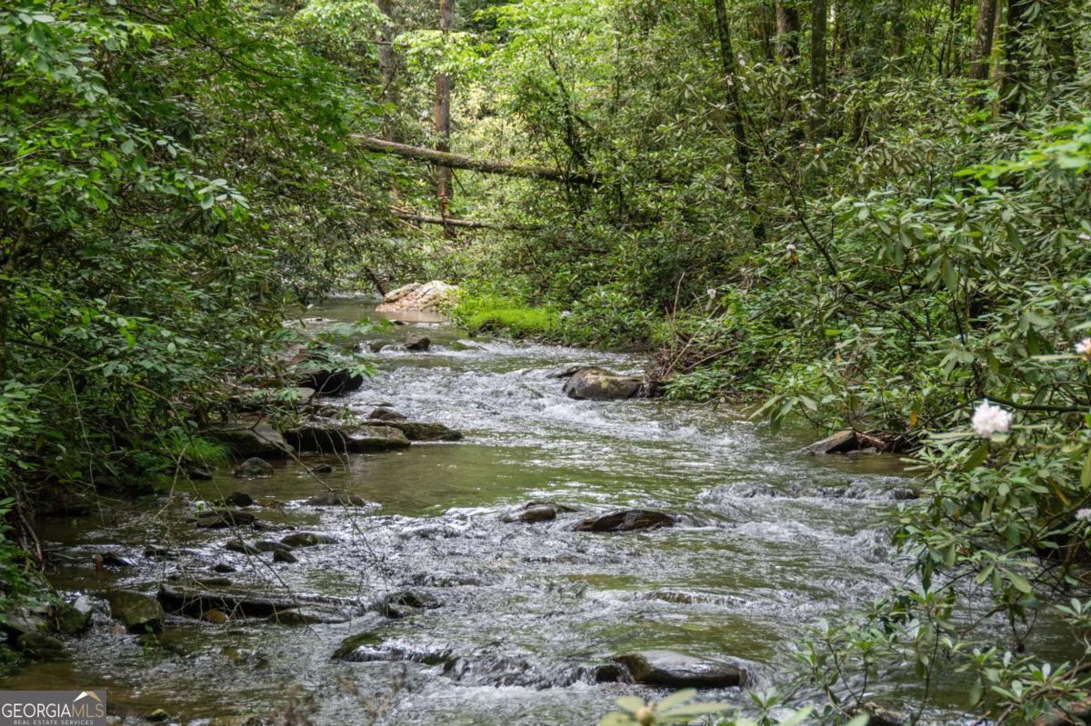 Ellijay, Georgia, 30540, United States, 5 Bedrooms Bedrooms, ,5 BathroomsBathrooms,Residential,For Sale,2016295