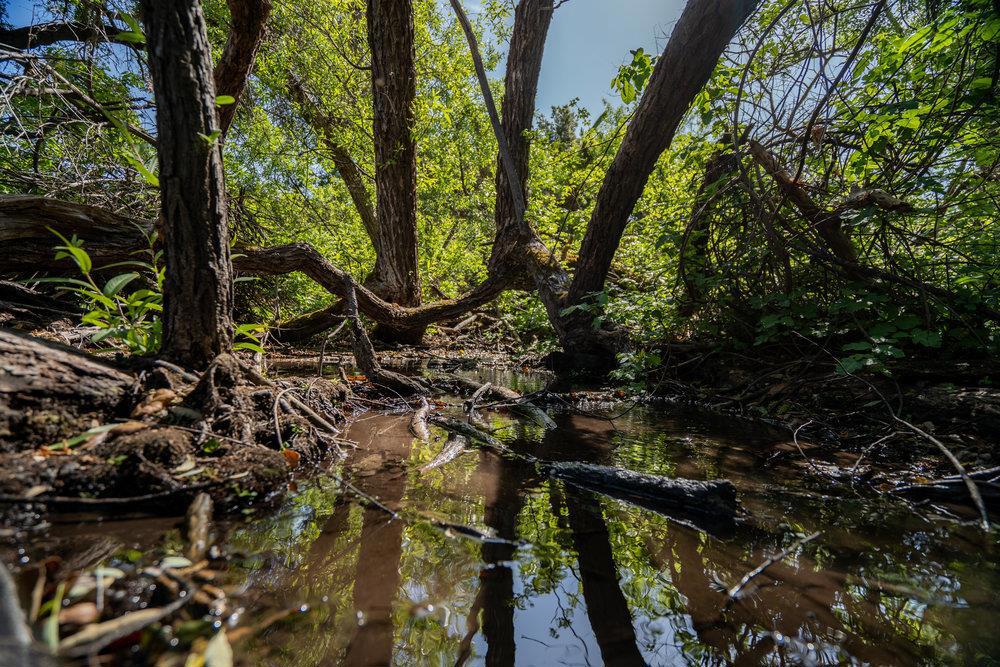 Greenfield, California, 93927, United States, ,Residential,For Sale,1943227