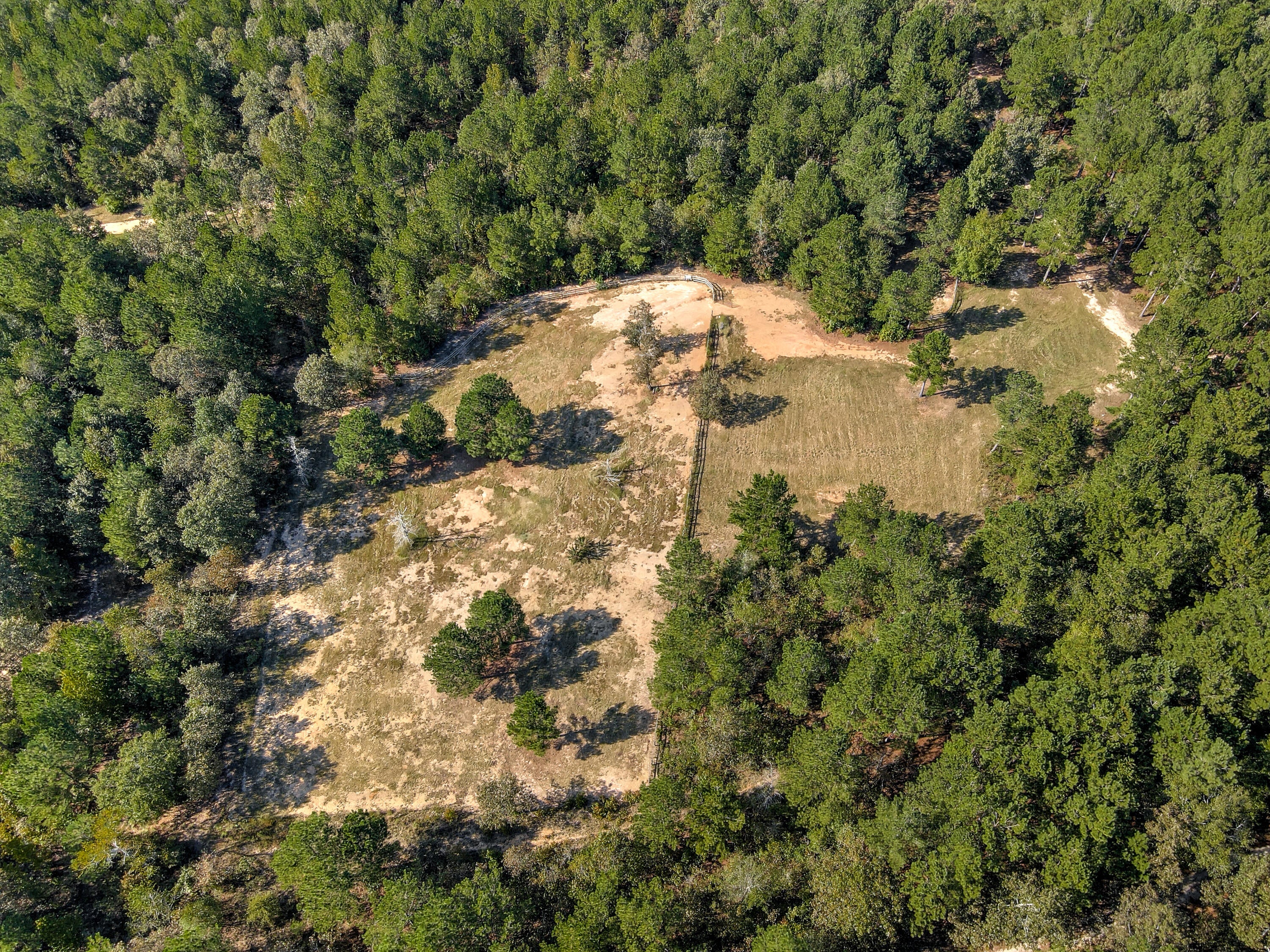 Wagener, South Carolina, 29164, United States, ,Land,For Sale,1969040