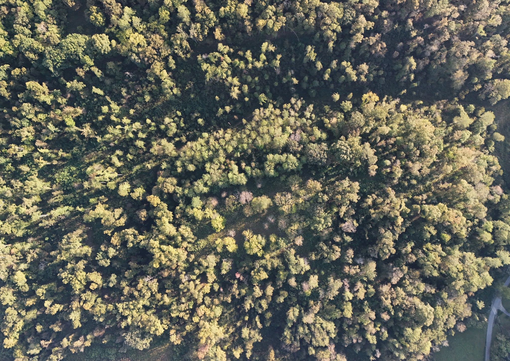 Lynchburg, Tennessee, 37388, United States, ,Land,For Sale,1982223