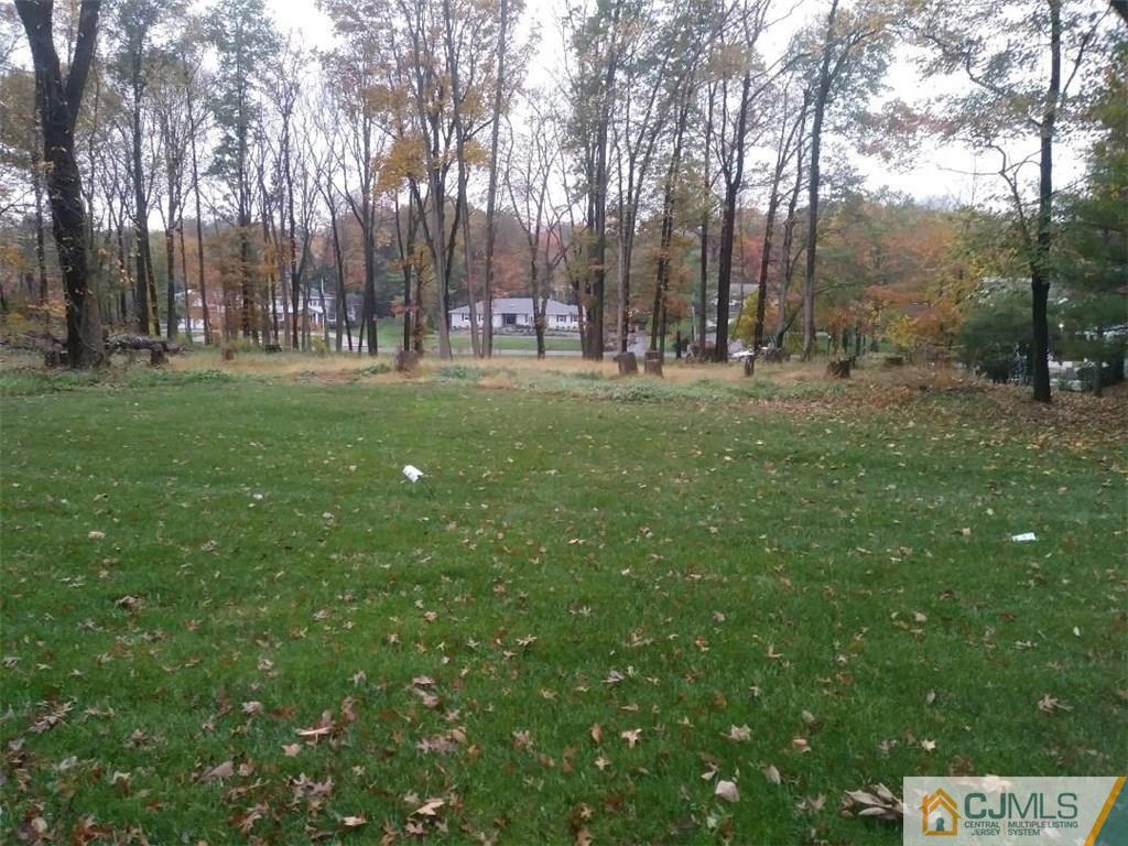 Colonia, New Jersey, 07067, United States, ,Land,For Sale,1981353