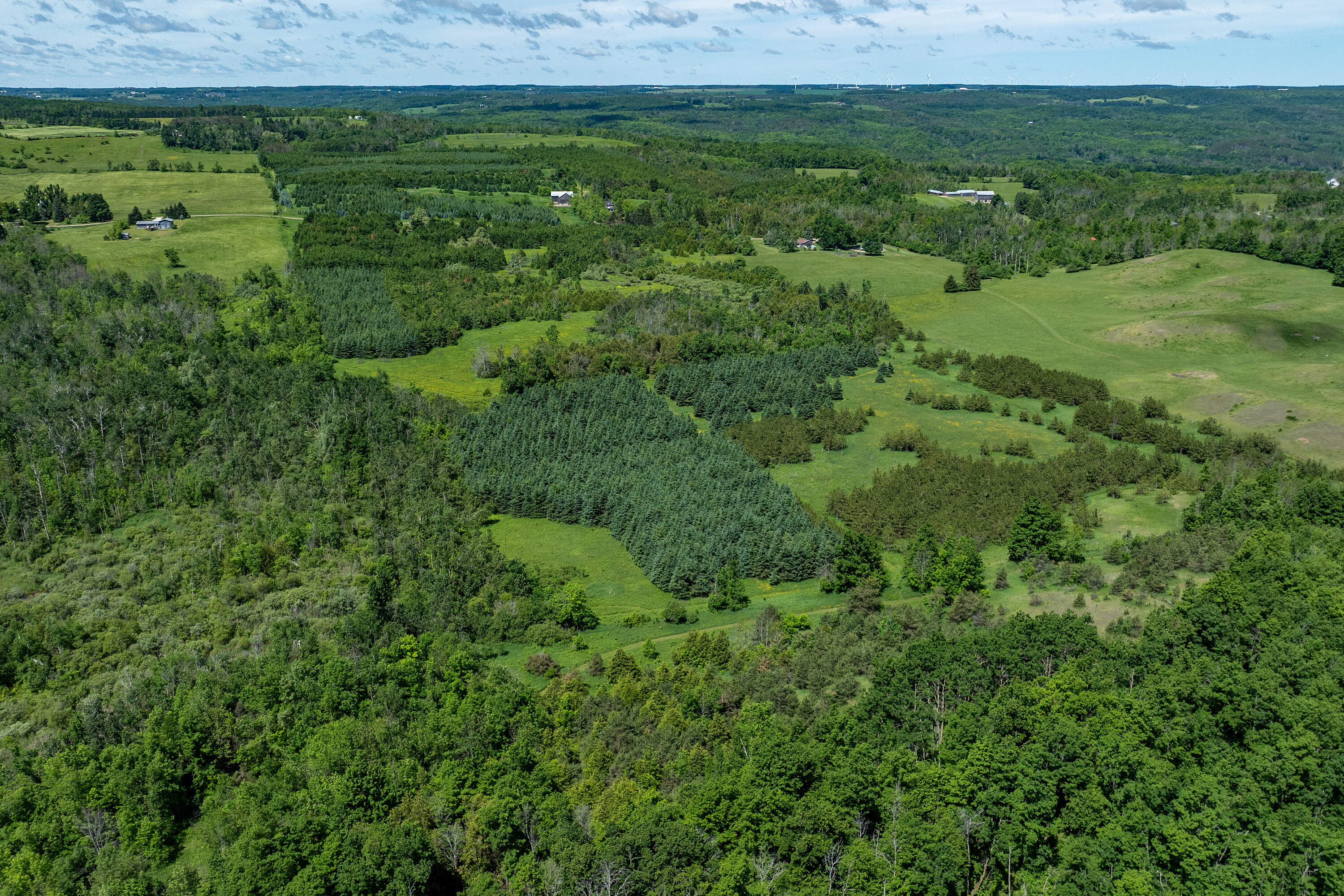  50 acre parcel in Mulmur ON - 物件實景