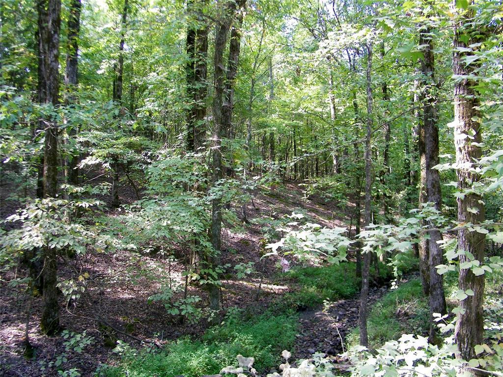 Broken Bow, Oklahoma, 74728, United States, ,Residential,For Sale,1979541